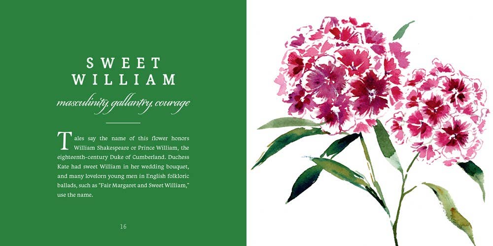 An illustrated exploration of the language and symbolism of flowers to celebrate the special ones in your life. Celebrate the secret language and symbolism of flowers with Sarah Cray’s sixth book, The Language of Flowers. Beautiful watercolor, gouache, and ink illustrations are paired with explorations of flora and the messages we send with each bouquet.
