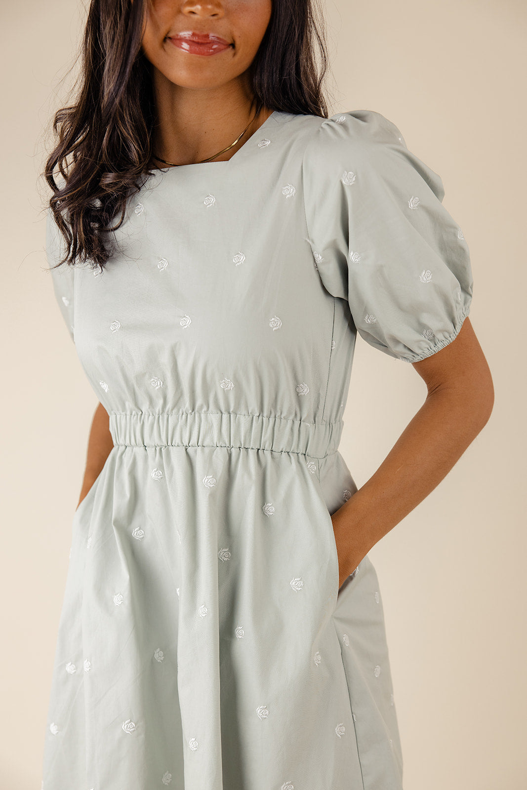 Picture Perfect Embroidered Dress
