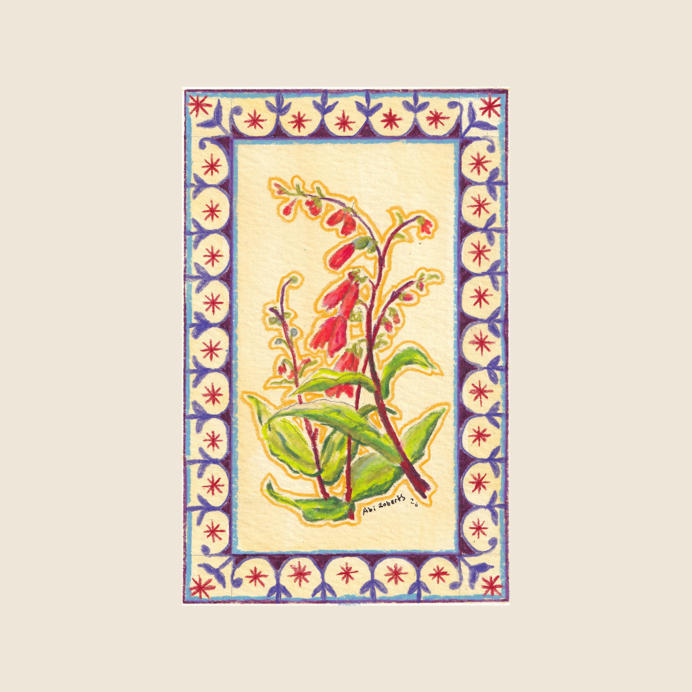 Firecracker Penstemon - Original Painting - Understory