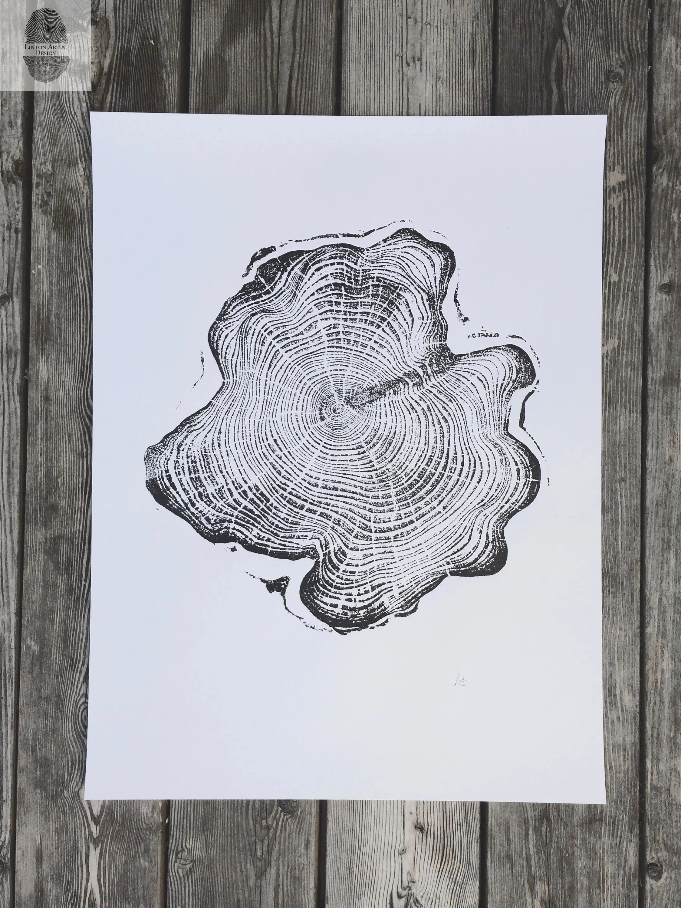 Alaska Cedar, Alaska Art, Denali, Lumber, Shabby Tree, Wood Burning Art, Wood Slice Wall Art