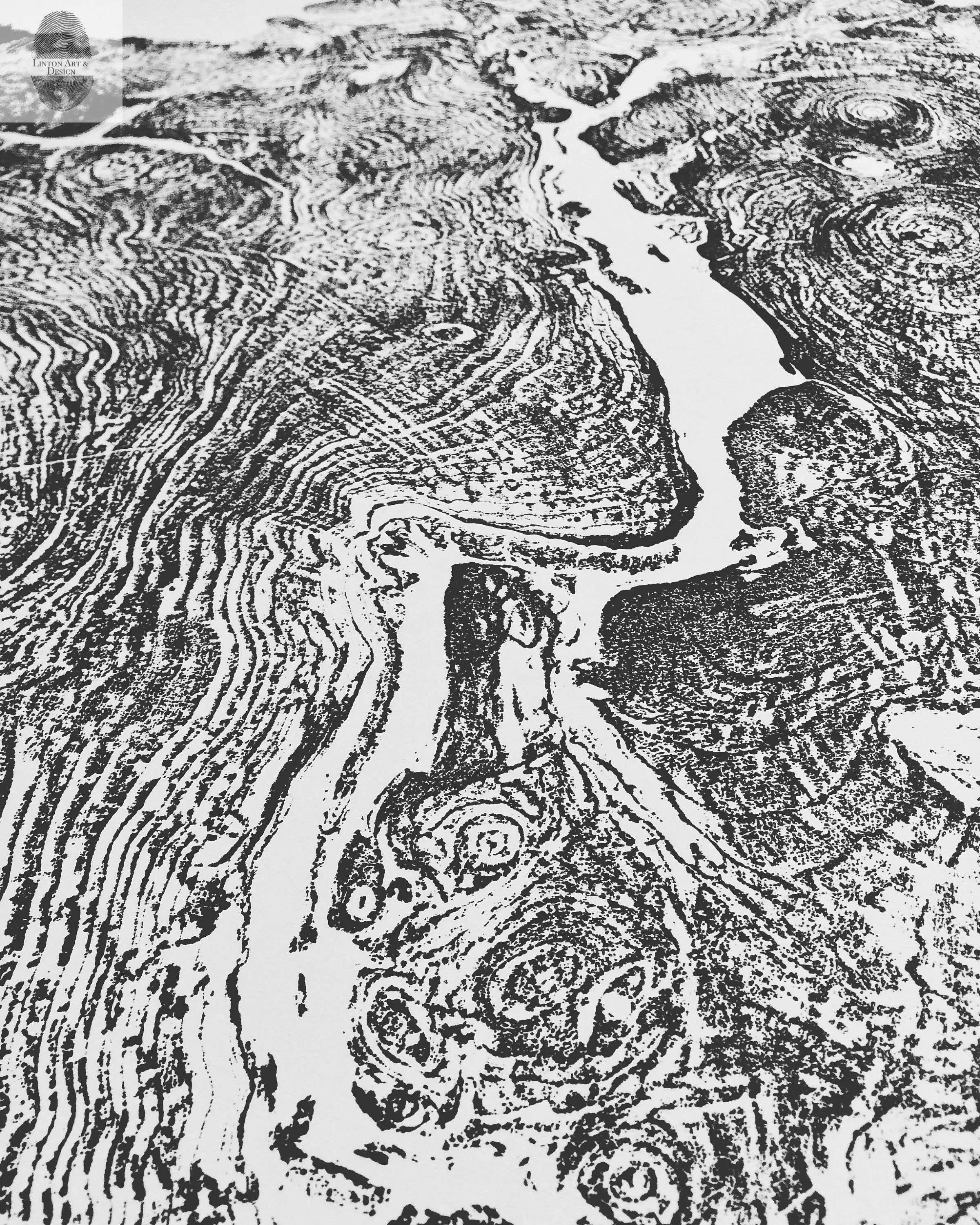 Big Leaf Maple, Tree ring print, Massachusetts art, Oversized tree ring Art, hand pressed tree rings, tree ring art print, Arborist art gift