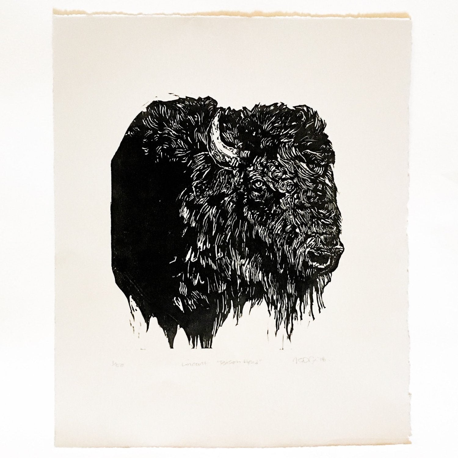 hand carved and pressed black and white 11x14 print of a bison head