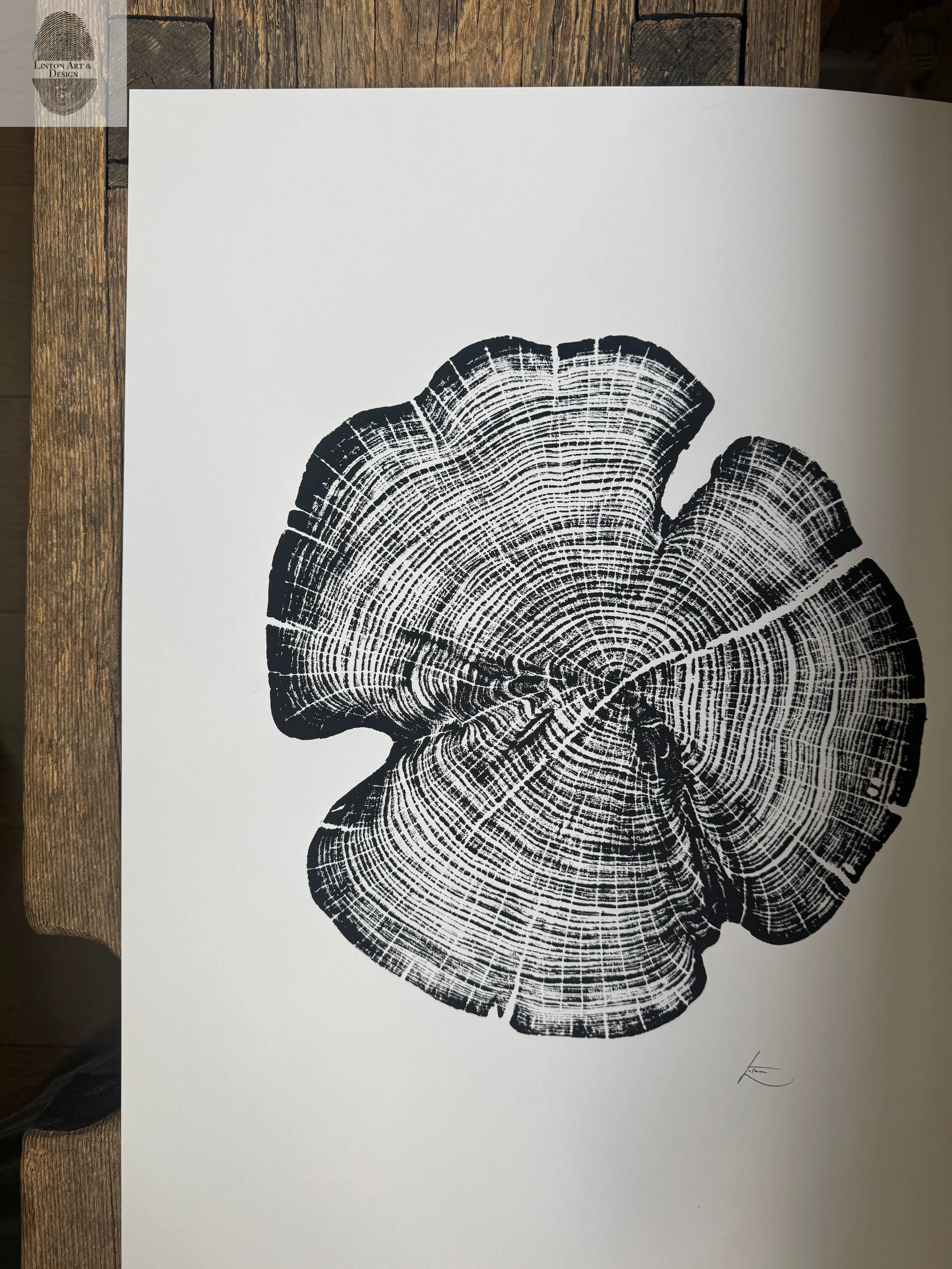 Cedar Tree Ring Print – Reno County, Kansas – 18x24 Original Signed Woodcut