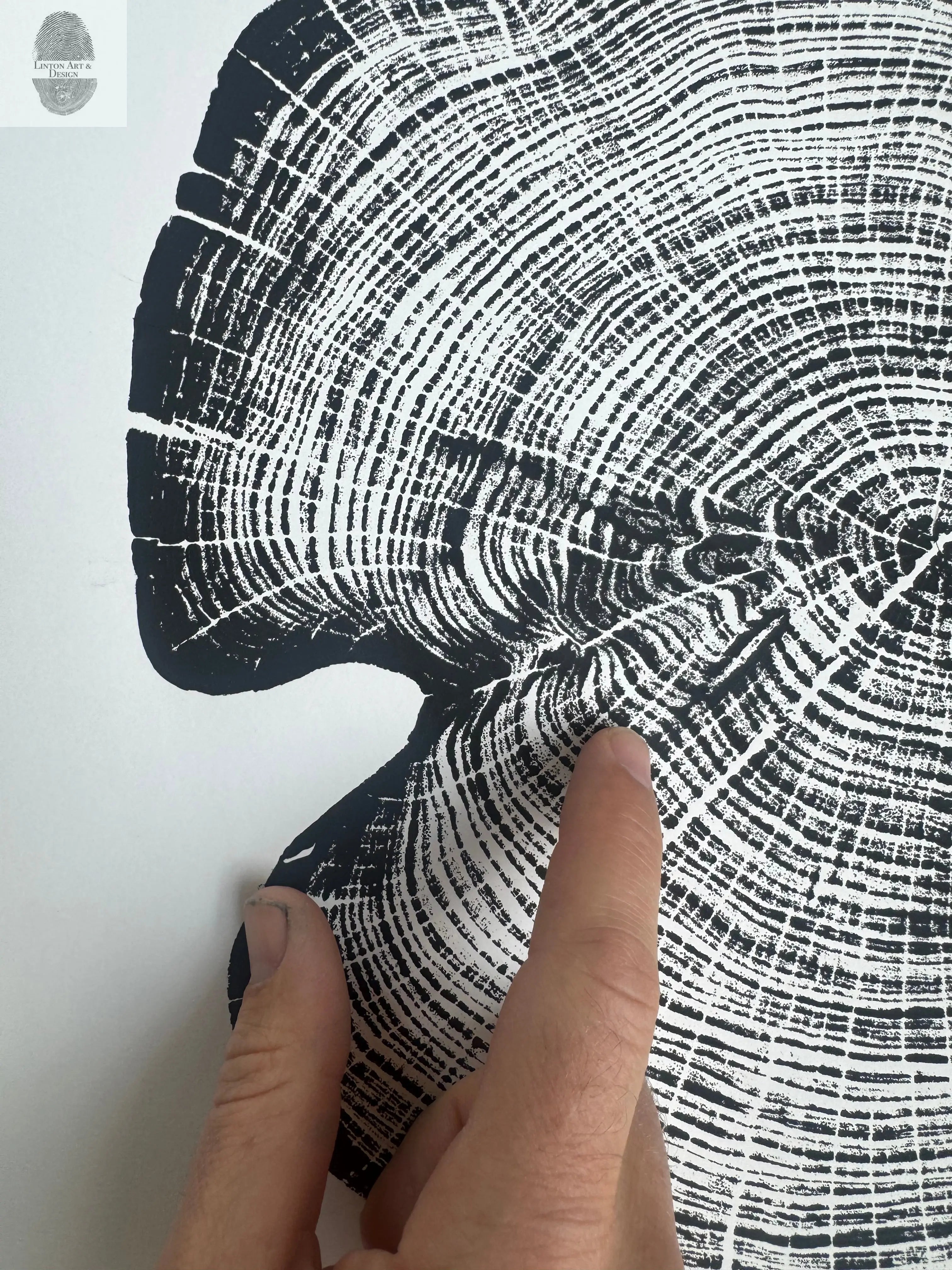 Cedar Tree Ring Print – Reno County, Kansas – 18x24 Original Signed Woodcut