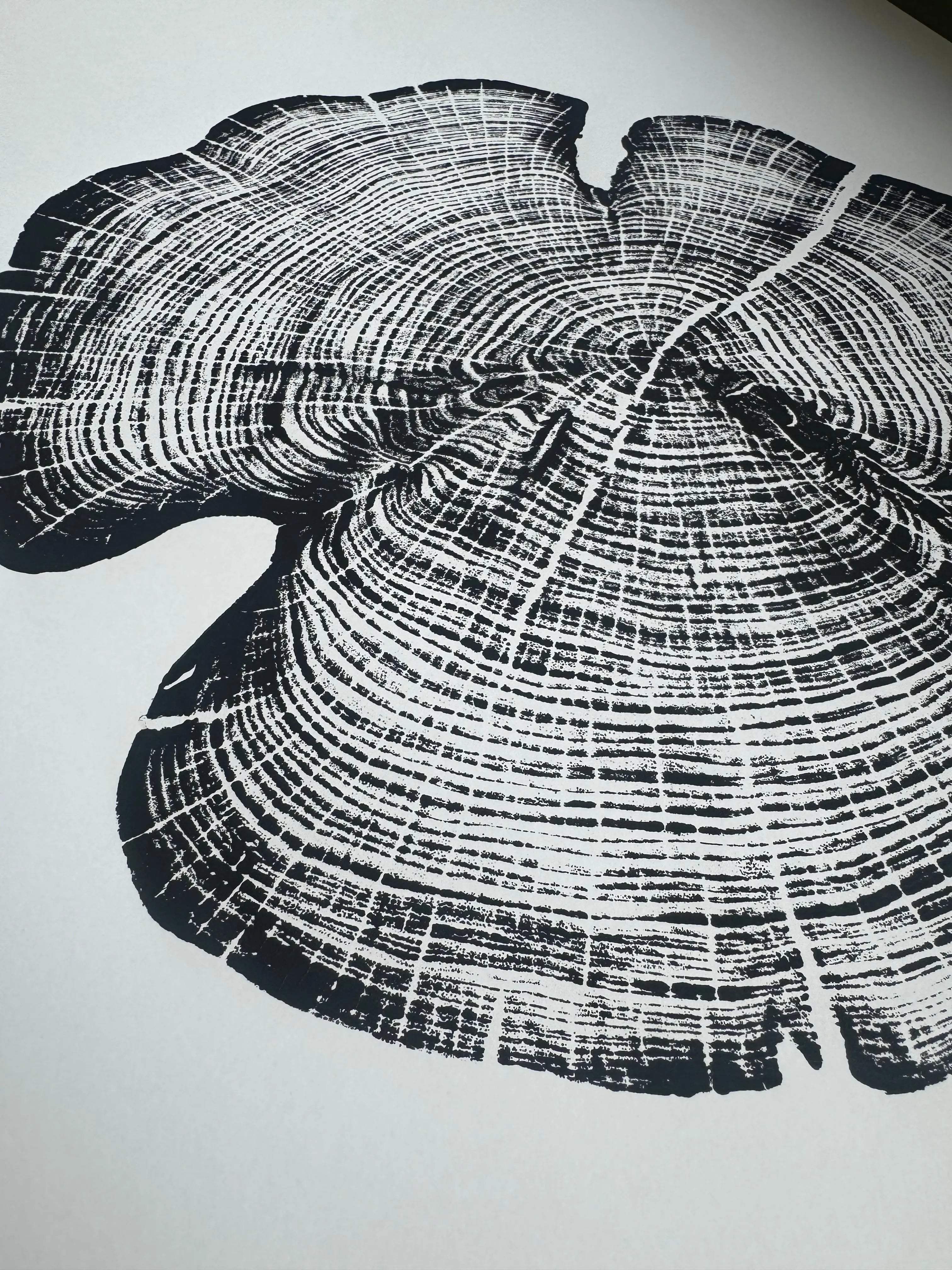 Cedar Tree Ring Print – Reno County, Kansas – 18x24 Original Signed Woodcut