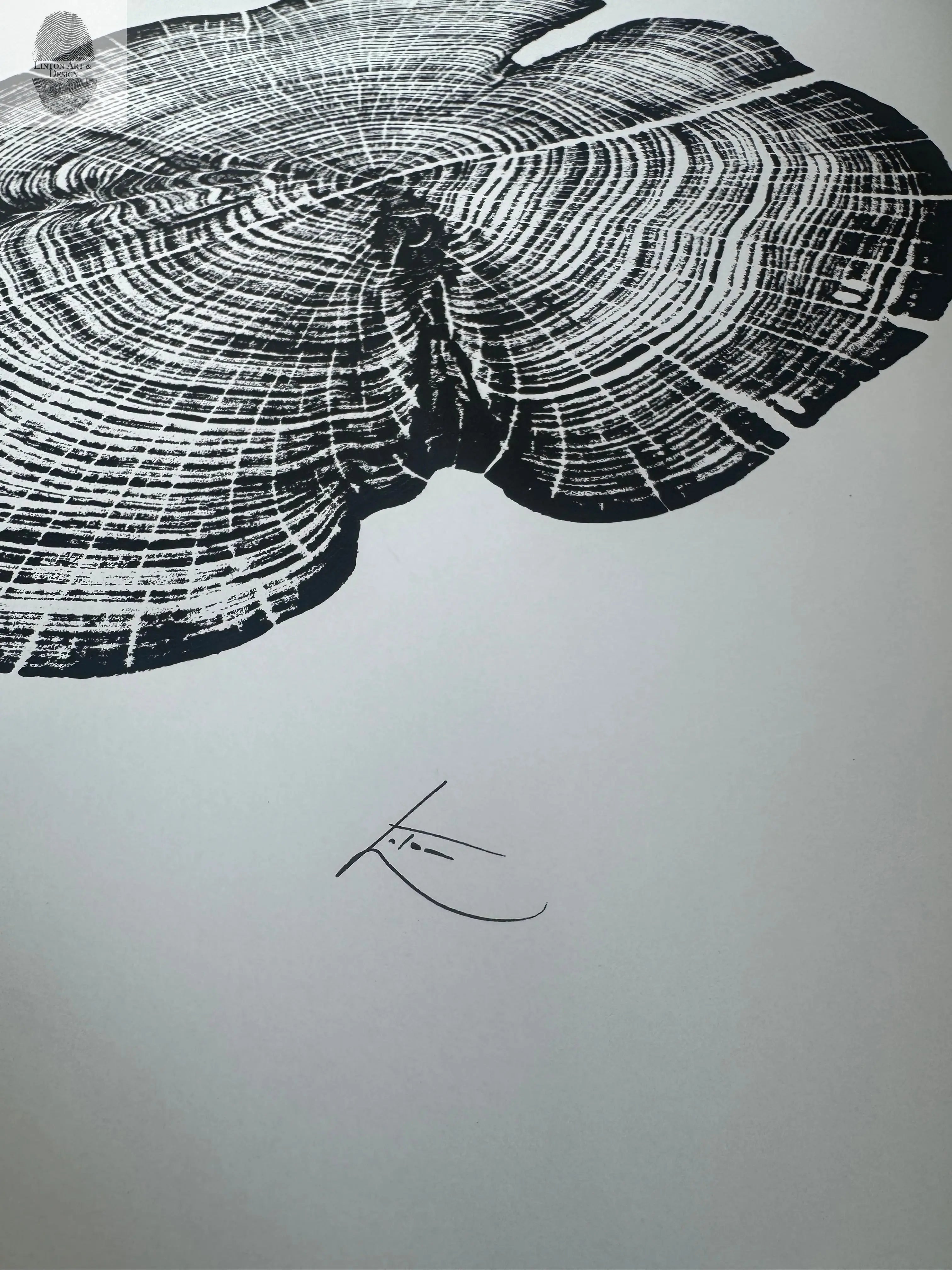 Cedar Tree Ring Print – Reno County, Kansas – 18x24 Original Signed Woodcut