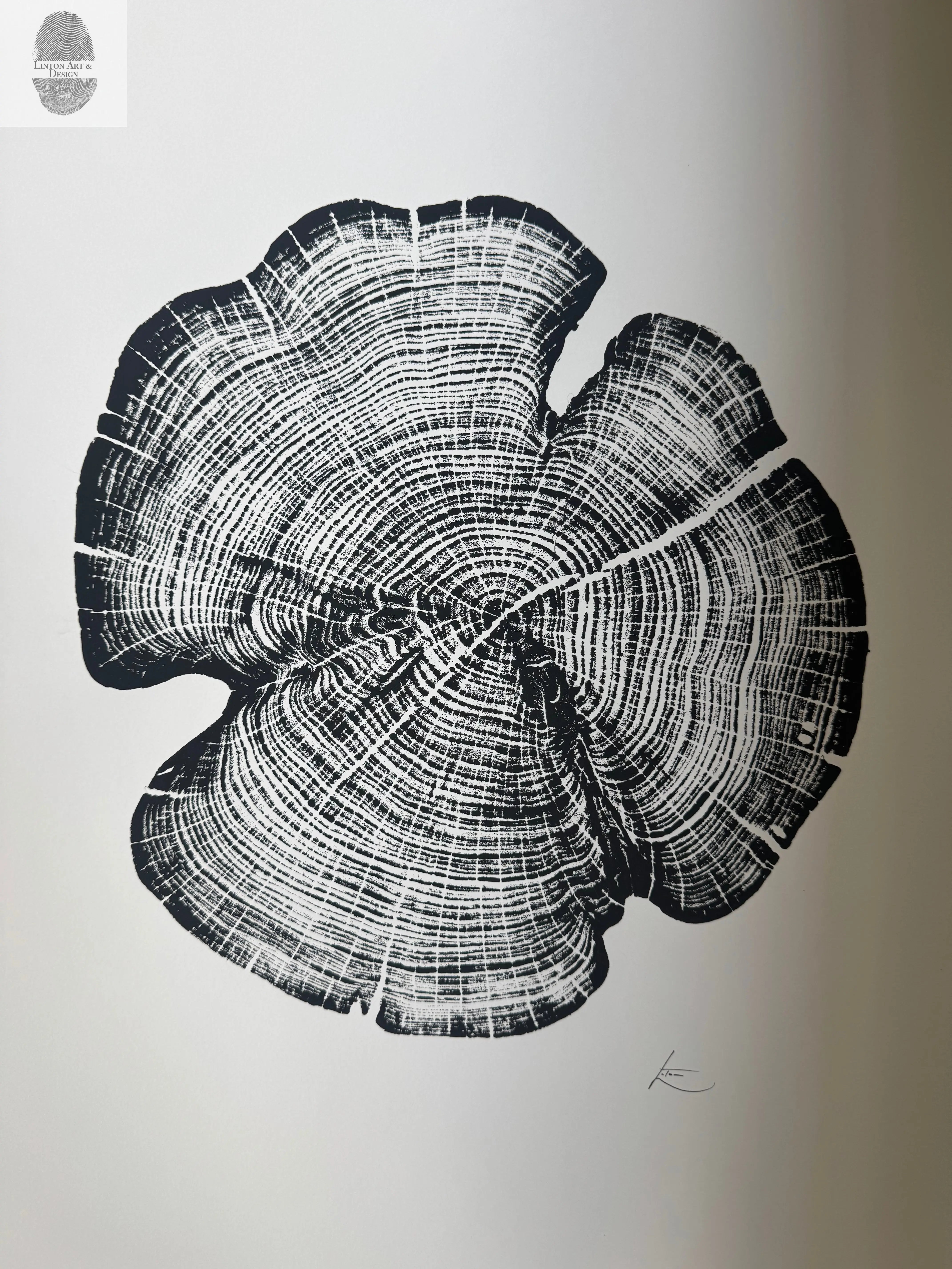 Cedar Tree Ring Print – Reno County, Kansas – 18x24 Original Signed Woodcut