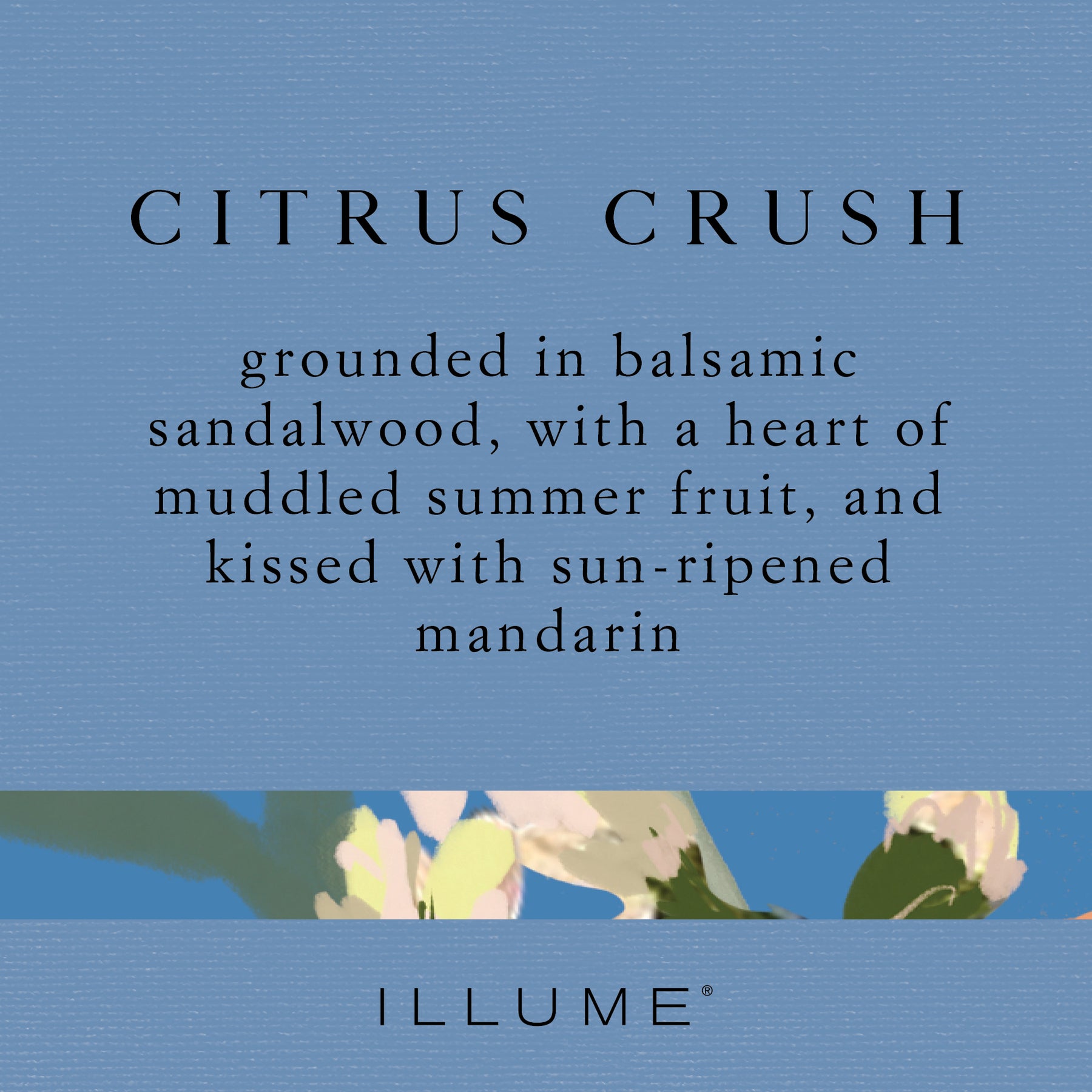 Lotion Fragrance

Grounded in balsamic sandalwood, with a heart of muddled summer fruit, and kissed with sun-ripened mandarin.