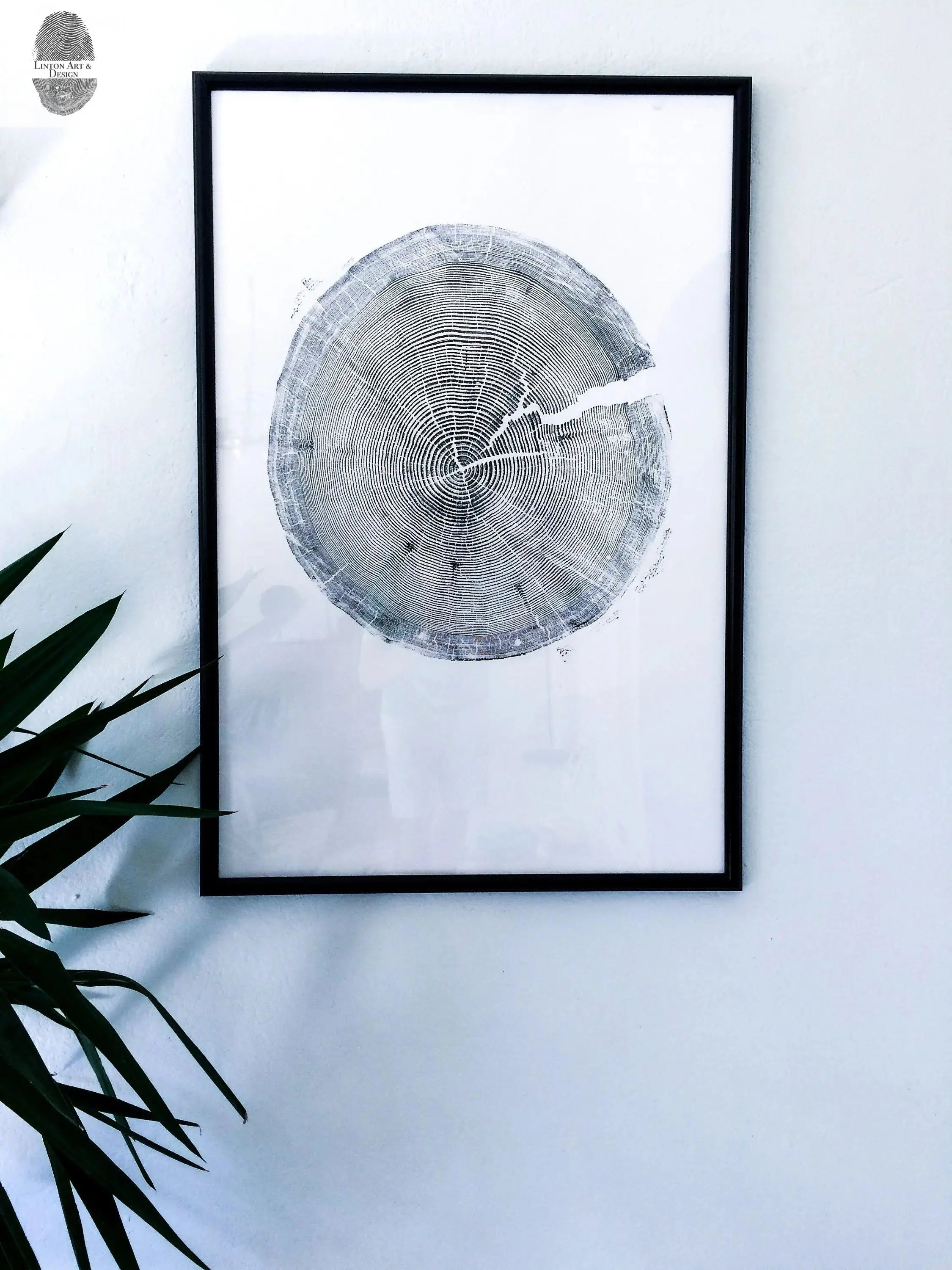 Crater Lake art, Oregon Print, Tree ring print, Woodcut print, Wood Wall art, Sacred Geometry, Forestry, National Parks, Signed Original