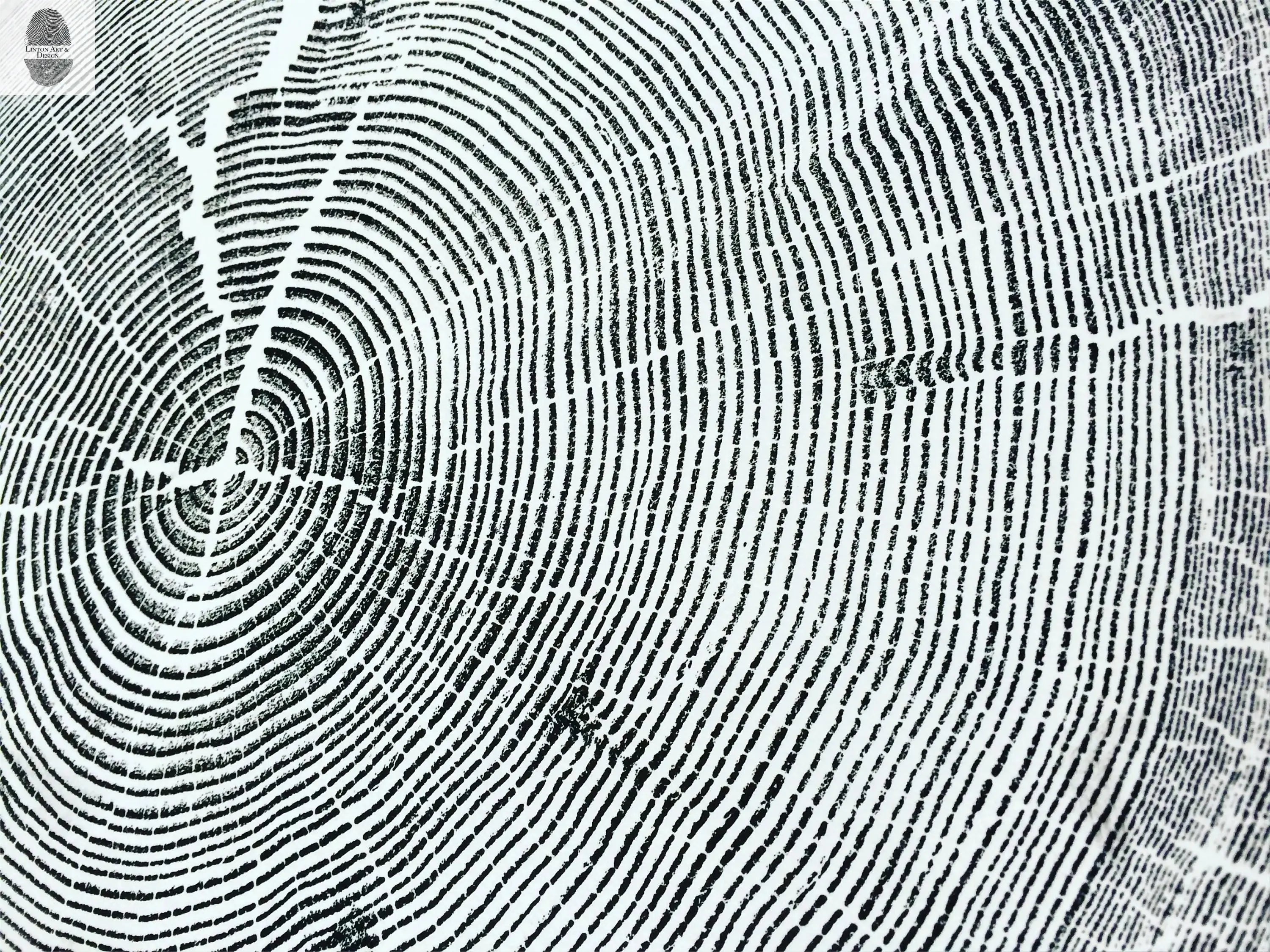 Crater Lake art, Oregon Print, Tree ring print, Woodcut print, Wood Wall art, Sacred Geometry, Forestry, National Parks, Signed Original