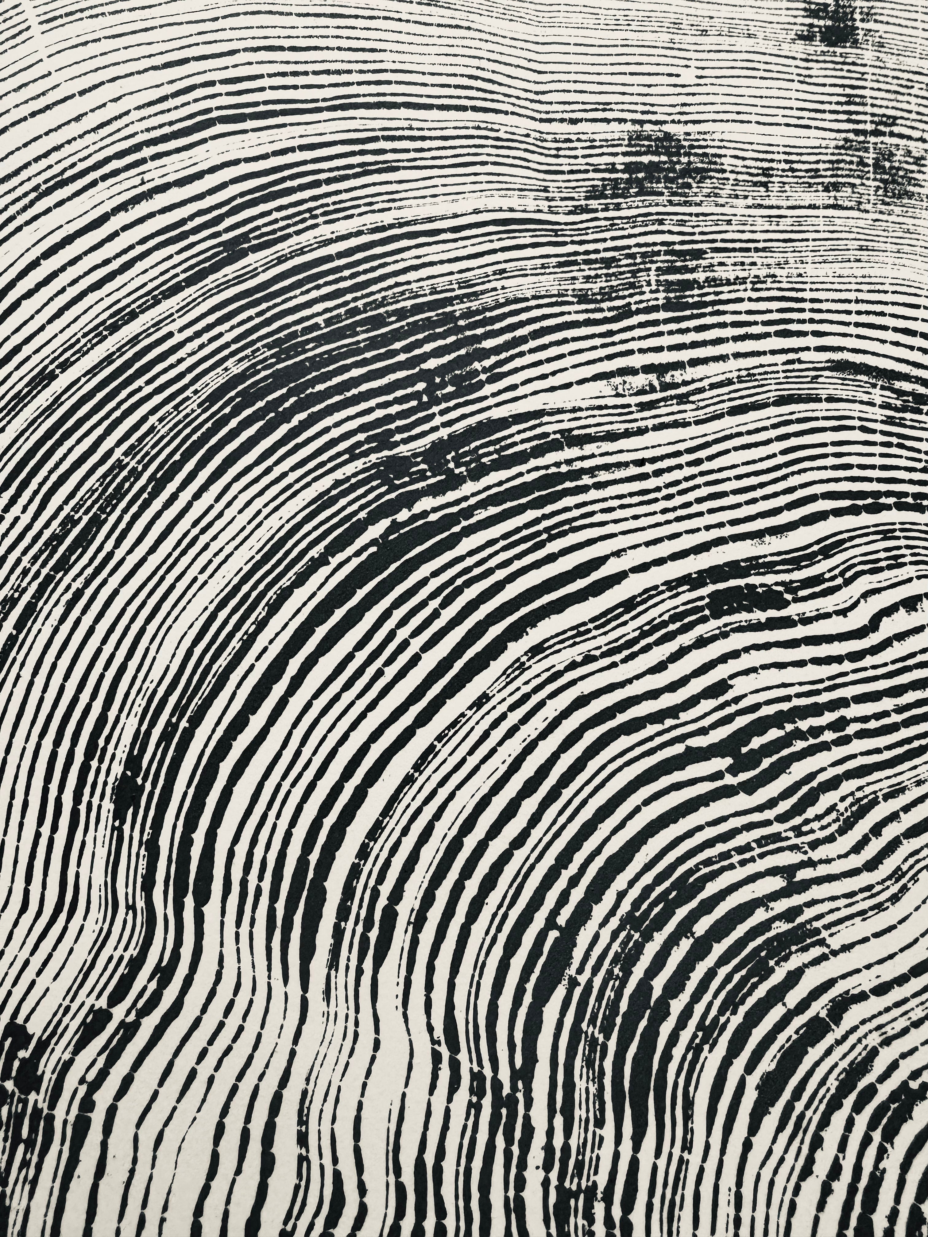 San Francisco, Real Redwood Art, 36x48 Inches. Original Signed artwork made from Real Redwood