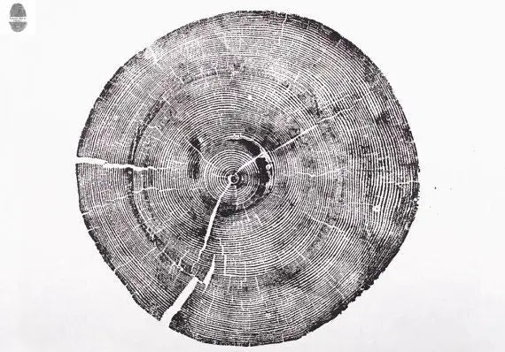 Set of 3, Utah Art, Alaska Art, Ohio State Art, Mulberry Tree, Cedar Tree, Wood Slice Wall Art