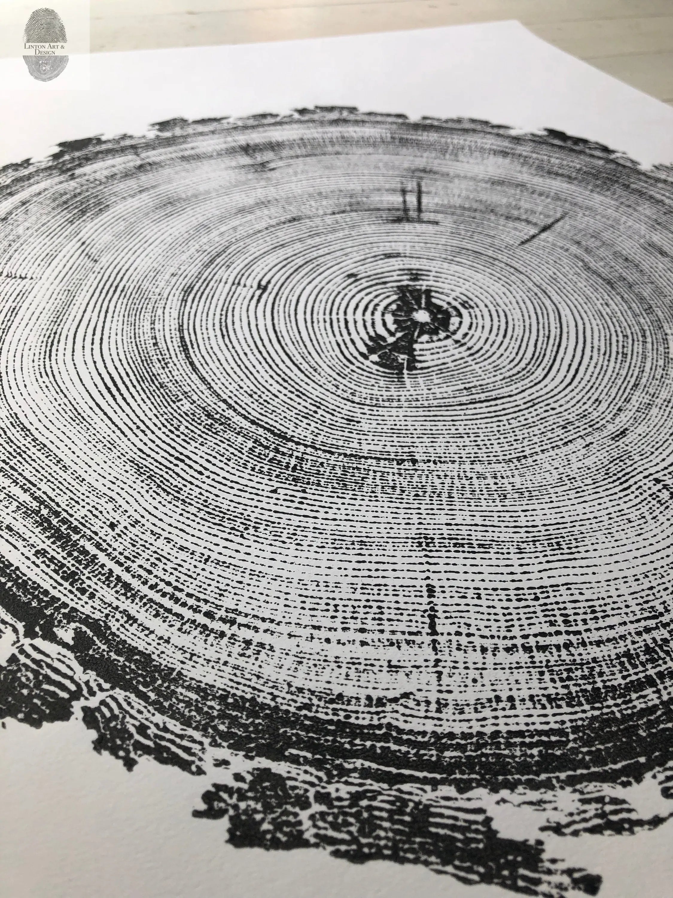 Denver Art, Rocky Mountains Tree Art, Pine Tree Art, Tree ring Print, Woodcut Print