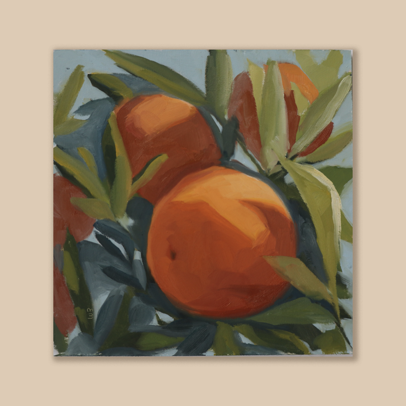 A group of oranges on a branch with green leaves and a blue background. 