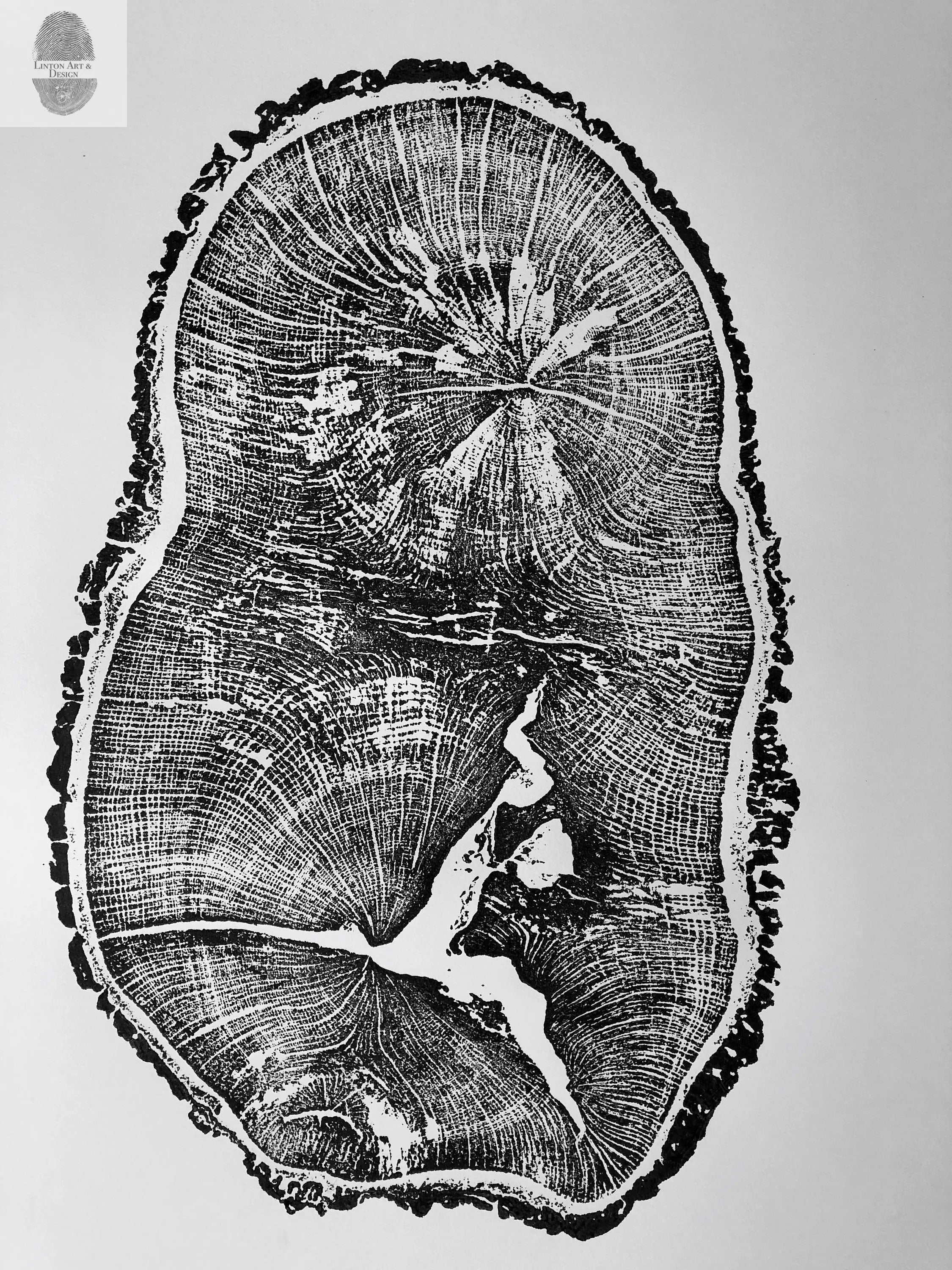 English Oak, Tree ring art print, Oak from Liverpool UK, Anniversary art, Tree ring art, Tree rings, Original Woodcut print by Erik Linton