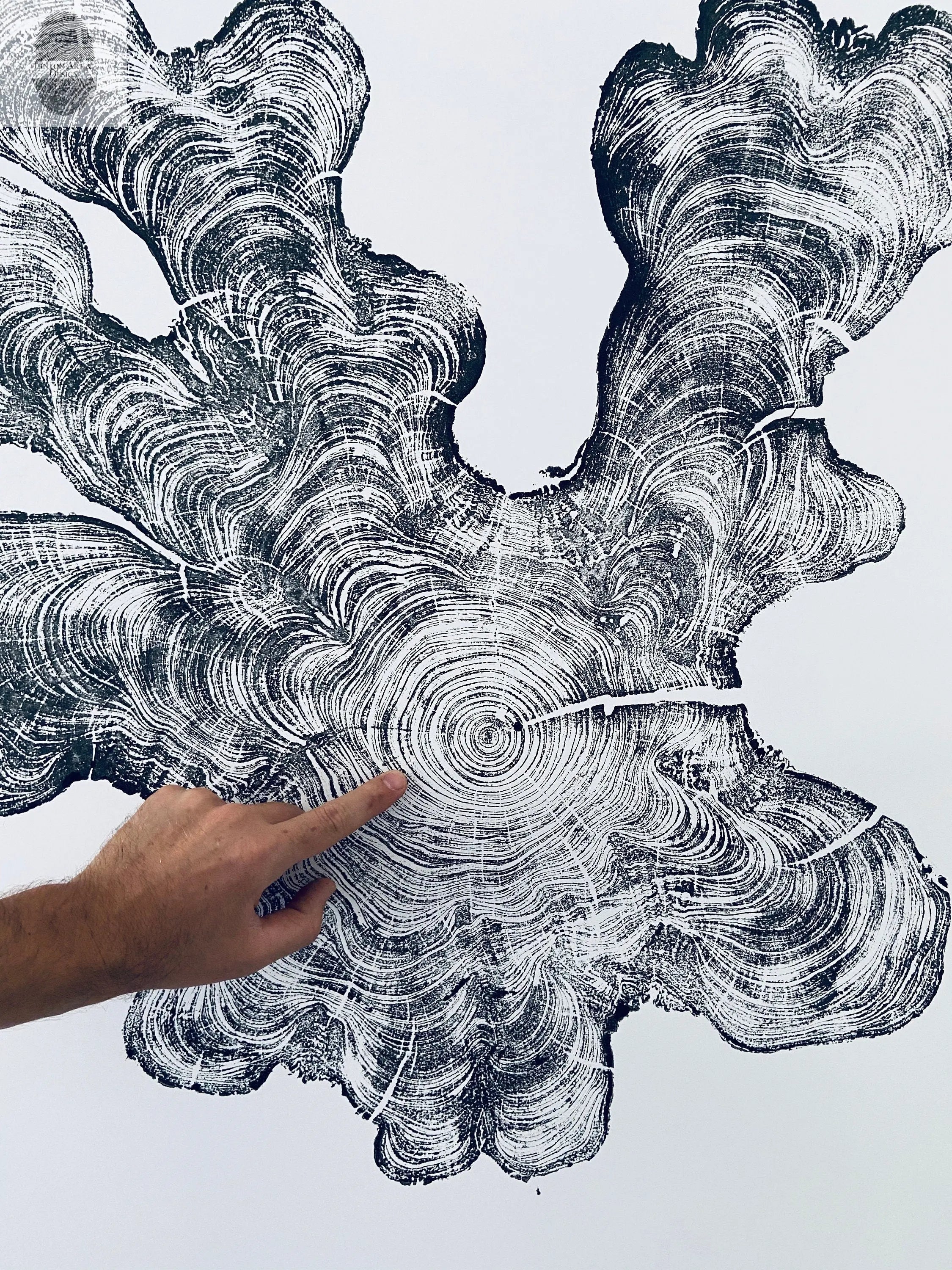 Florida Print, Everglades Art, Big Cypress, Osceola, Tree Ring Print, Huge Wall Art