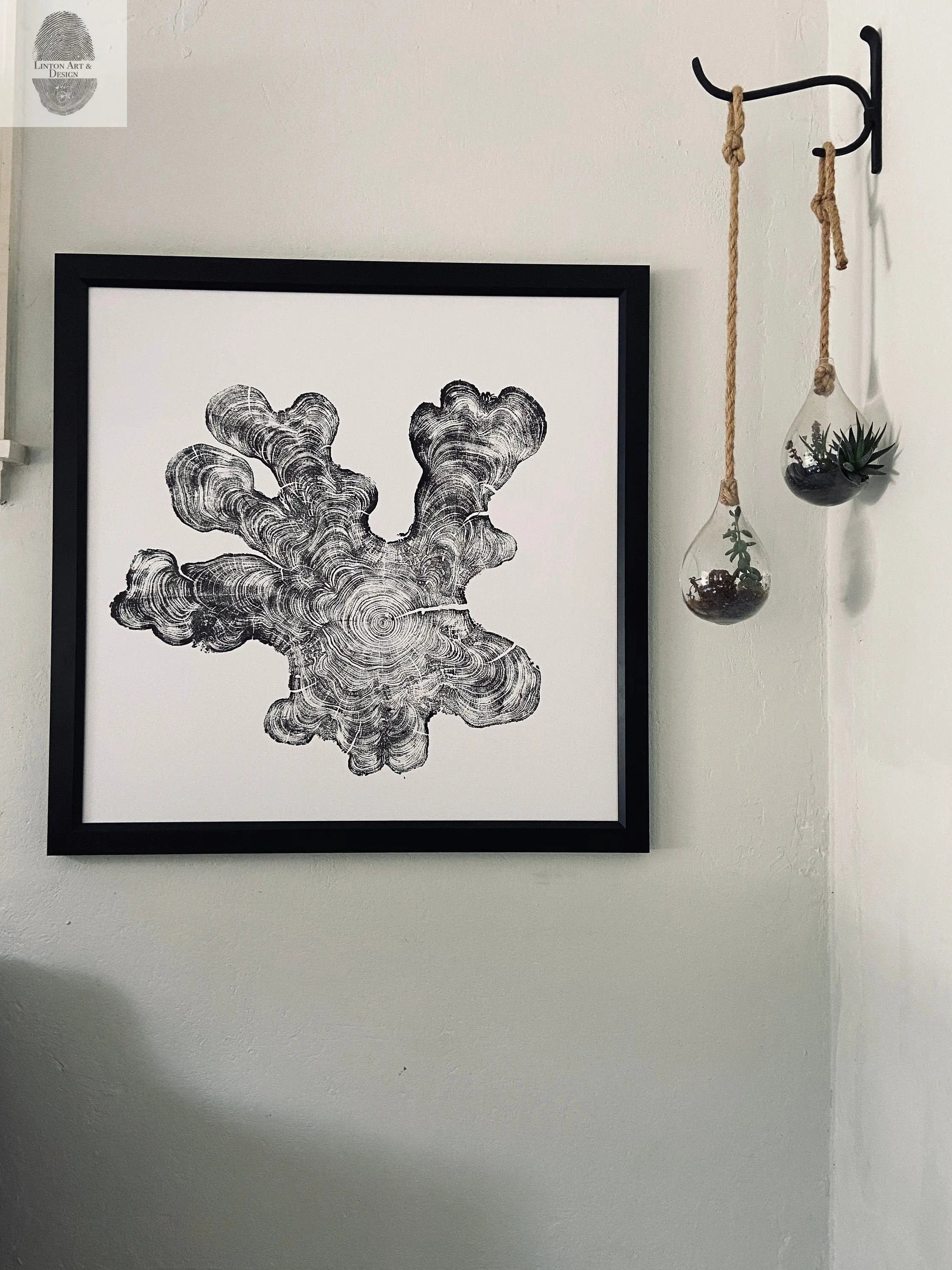 Florida Print, Everglades Art, Big Cypress, Osceola, Tree Ring Print, Huge Wall Art