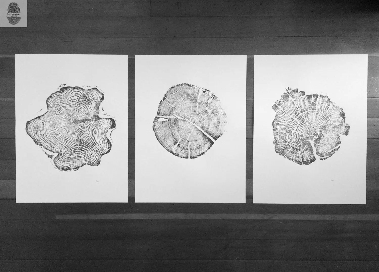 Grand Tetons, Alaska Art, Wyoming Art, Idaho Art, Tree Ring Art, Woodcut print, Biology Gifts, tree ring prints - 18x24 each print