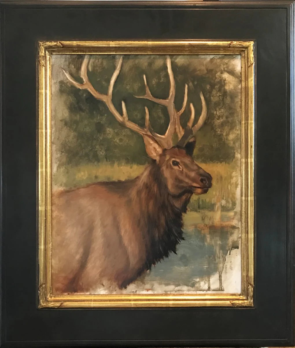A large 5 point elk in a watery landscape with gold and green grasses in the background. 