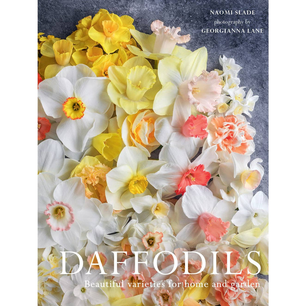 The quintessential heralds of spring, jaunty daffodils are as diverse and fascinating as they are adored.

In Daffodils: Beautiful Varieties for Home and Garden, leading garden writer Naomi Slade explores the intriguing history of the genus Narcissus along with its growing and care. Renowned floral photographer Georgianna Lane reveals the breadth of daffodil varieties in a range of breathtaking solid colors and multitoned and ruffled combinations of salmon, pink, peach, orange, and white.