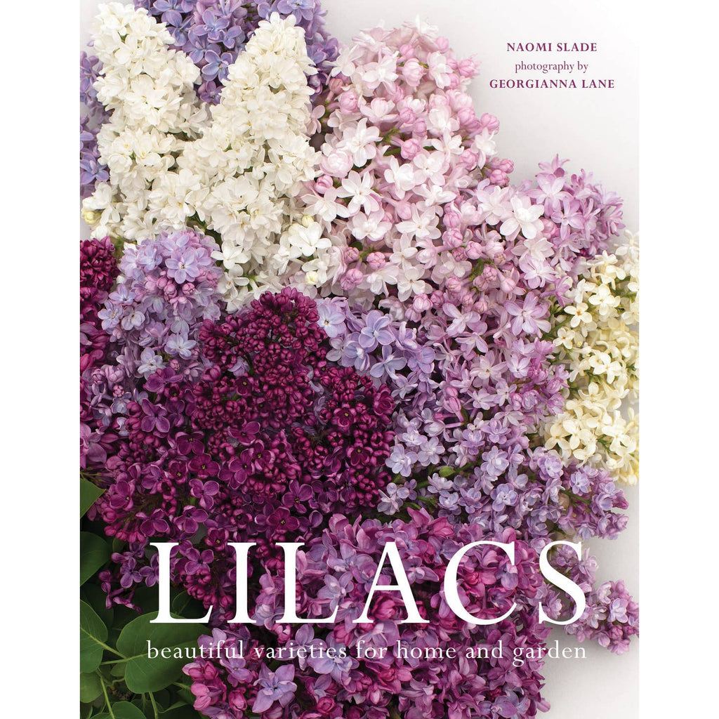 This seventh book in the Gibbs Smith flower series is filled with the perfume of love and memories of home. Lilacs are frequently associated with the Easter holiday, which occurs during the peak of its bloom time. Lilacs have been a source of inspiration for artists throughout history; Impressionists Vincent Van Gogh and Claude Monet both made famous paintings depicting the beauty of lilacs. Lilacs are ubiquitous both within curated gardens and in the wild. 