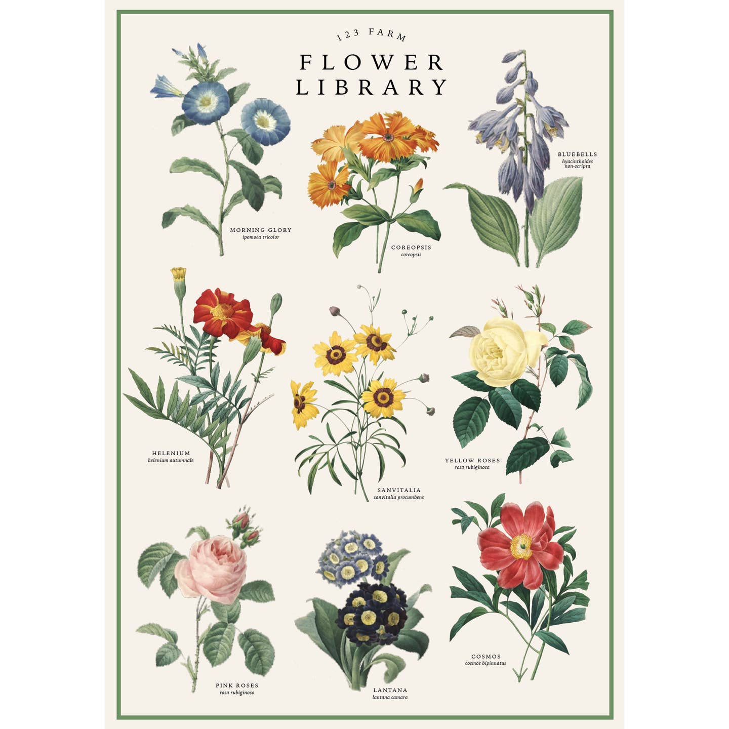 Measuring 20x28 inches, this versatile paper is perfect for adding a touch of charm to your projects. Its high-quality textured surface enhances the vintage aesthetic, making it ideal for wall art, gift wrapping, scrapbooking, or DIY crafts. The rich details and timeless design will captivate anyone who sees it. Whether you're decorating your space or wrapping a thoughtful gift, this paper transforms the ordinary into extraordinary.