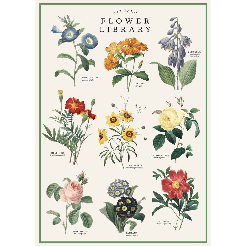 Measuring 20x28 inches, this versatile paper is perfect for adding a touch of charm to your projects. Its high-quality textured surface enhances the vintage aesthetic, making it ideal for wall art, gift wrapping, scrapbooking, or DIY crafts. The rich details and timeless design will captivate anyone who sees it. Whether you're decorating your space or wrapping a thoughtful gift, this paper transforms the ordinary into extraordinary.