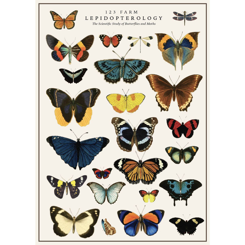 Measuring 20x28 inches, this versatile paper is perfect for adding a touch of charm to your projects. Its high-quality textured surface enhances the vintage aesthetic, making it ideal for wall art, gift wrapping, scrapbooking, or DIY crafts. The rich details and timeless design will captivate anyone who sees it. Whether you're decorating your space or wrapping a thoughtful gift, this paper transforms the ordinary into extraordinary.