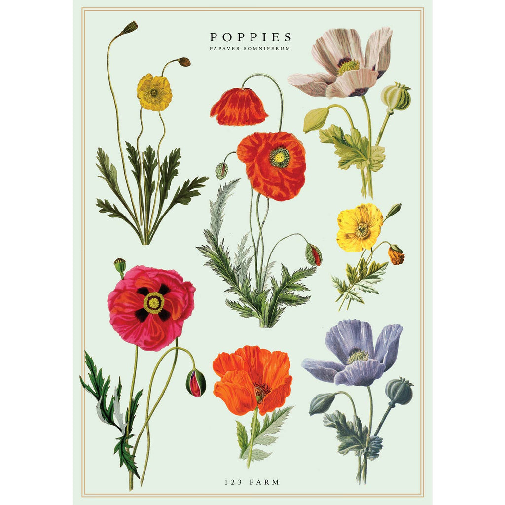 Measuring 20x28 inches, this versatile paper is perfect for adding a touch of charm to your projects. Its high-quality textured surface enhances the vintage aesthetic, making it ideal for wall art, gift wrapping, scrapbooking, or DIY crafts. The rich details and timeless design will captivate anyone who sees it. Whether you're decorating your space or wrapping a thoughtful gift, this paper transforms the ordinary into extraordinary.