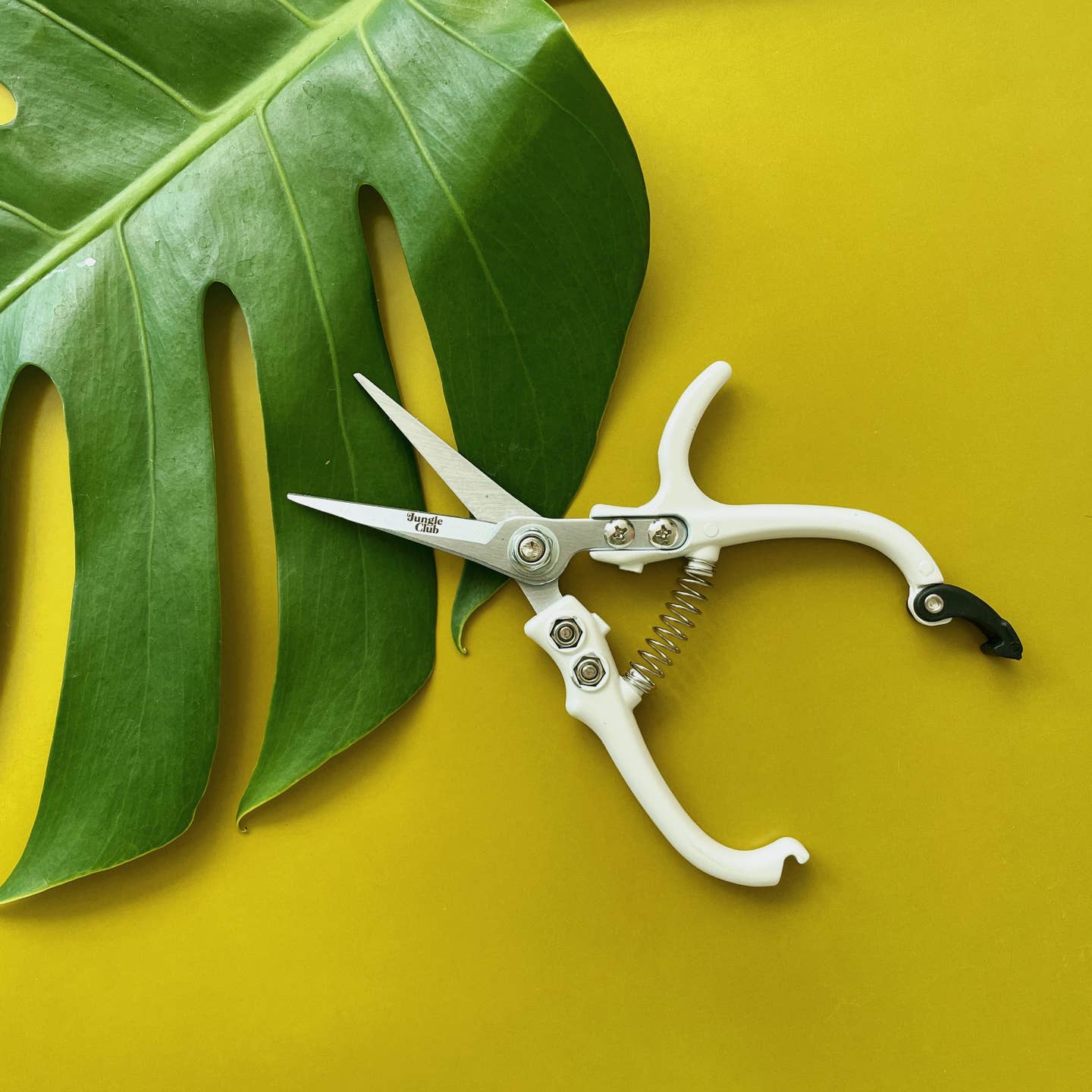 Pruning Shears - 3 Colors Available