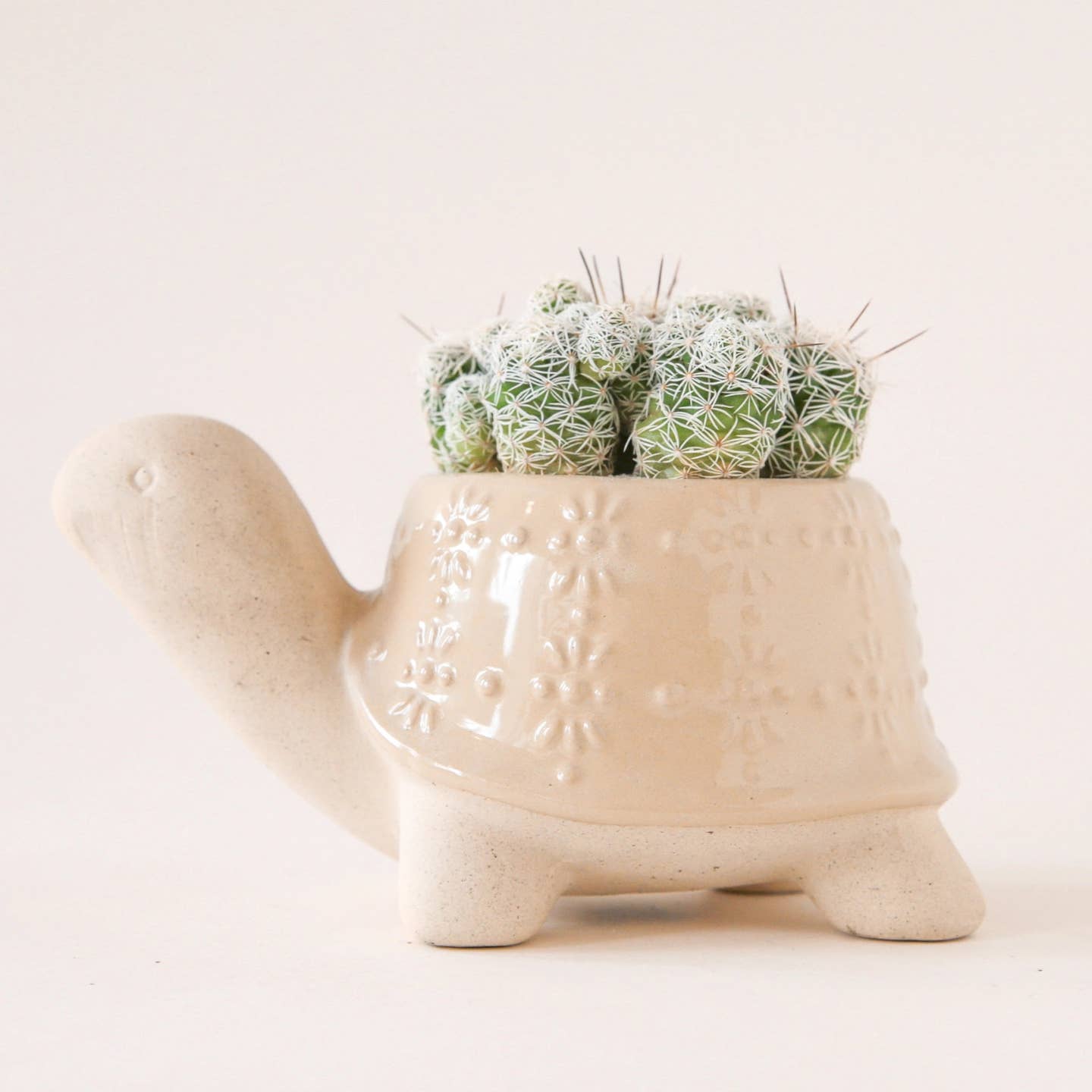 Turtle Planter