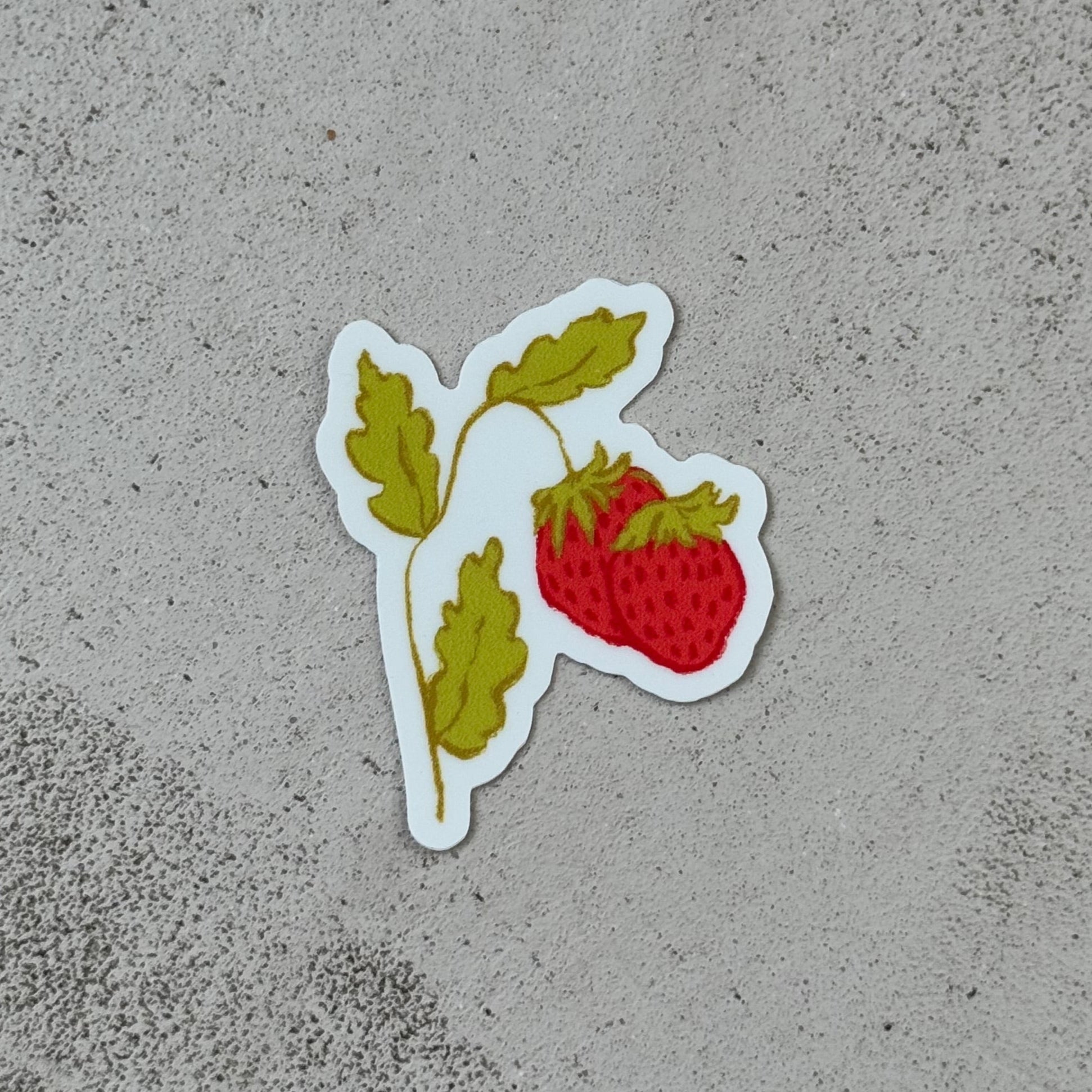 strawberry stem with 2 strawberries