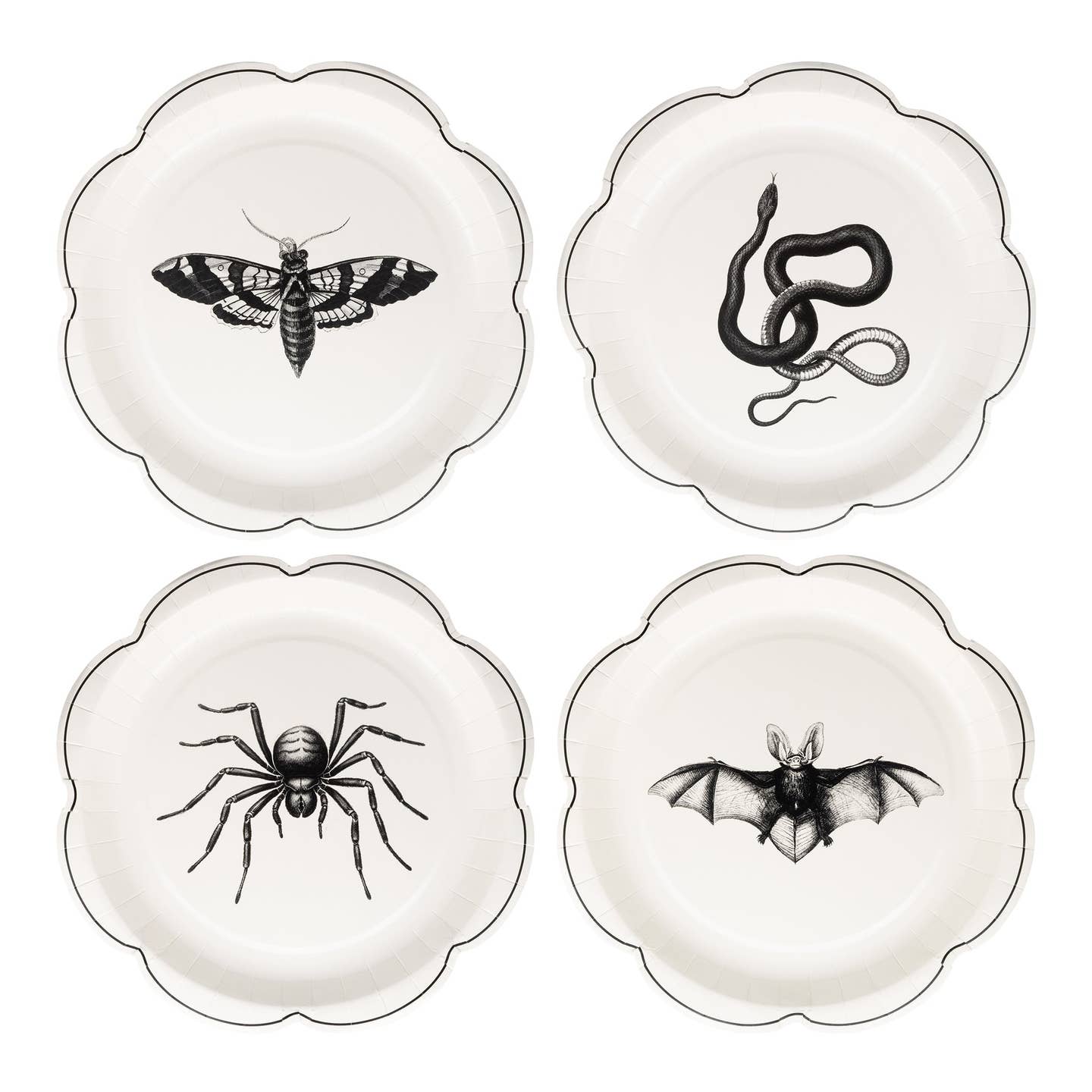 Transform your Halloween table into a hauntingly elegant affair with our Apothecary Plate Set. These spooky plates feature creepy-chic designs that add the perfect touch of macabre sophistication to your festive gathering. Ideal for serving spine-tingling treats or ghoulish delights that will impress your guests while keeping the Halloween spirit alive!

• includes 8 shaped paper plates
• 8 x 8 inches
• 2 each of 4 designs