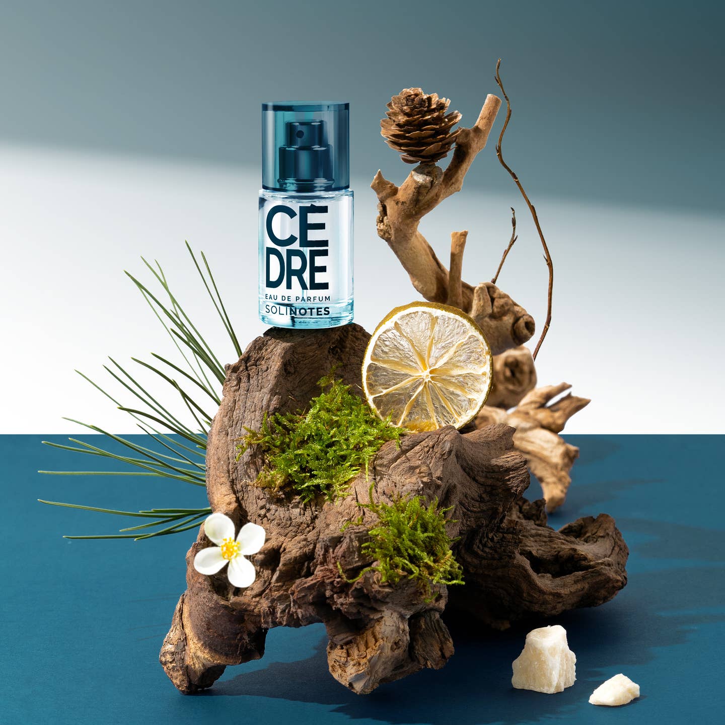 Cedar Perfume - Mini