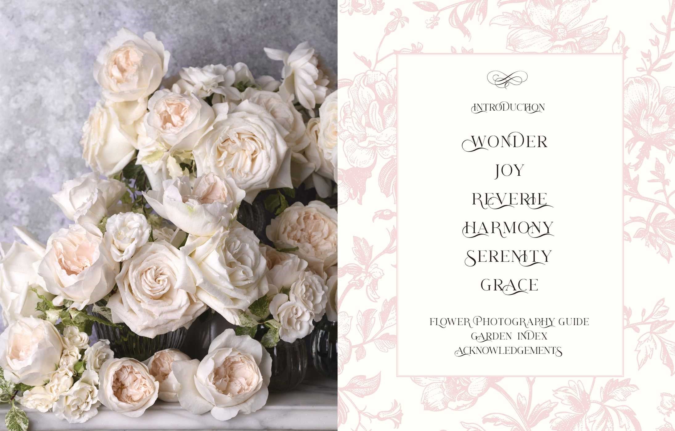 Beautiful Blooms: A Photographic Celebration