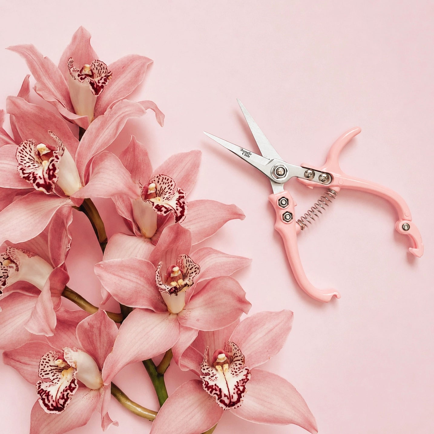 The best way to prune your plants is in style, of course. With an ergonomic handle and a support pillar for extra control, these garden snips are perfect for light pruning, snipping and deadheading. Created by Jungle Club these pruning shears are not only adorable, but also a planting tool you can't live without.