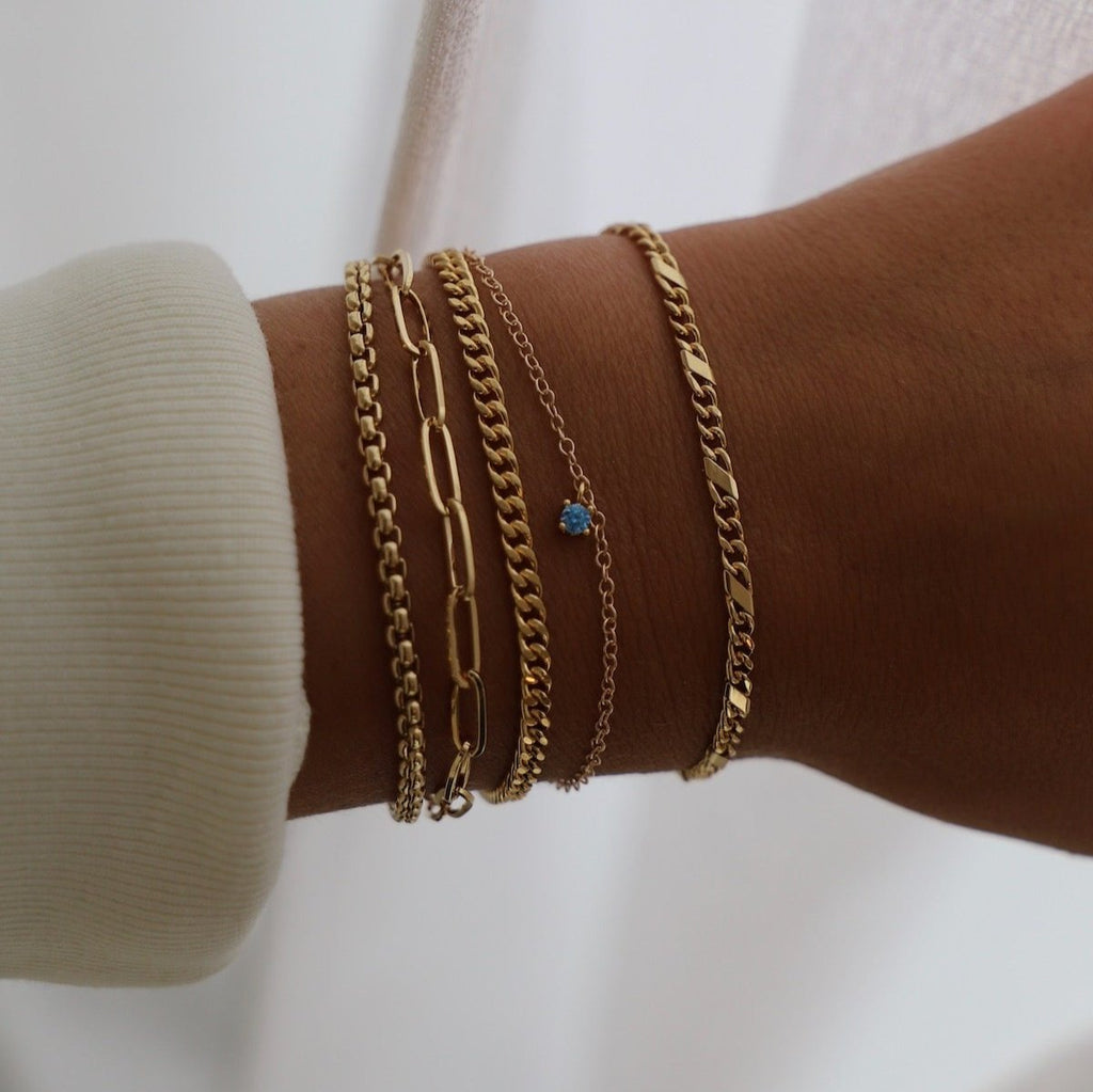 This beautiful birthstone charm bracelet features a delicate gold chain and a unique birthstone charm, making it a perfect piece for a personalized gift or a special piece for yourself. 