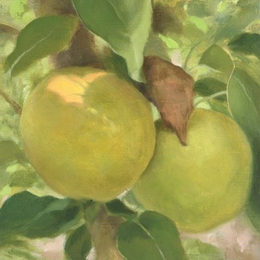 Two green apples on the vine with brown and green leaves interspersed. 