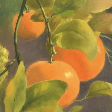 A trio of oranges on a vine with green leaves interspersed. 