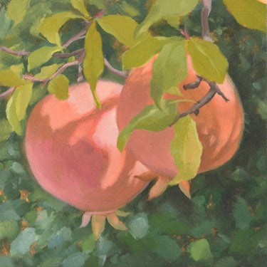 Pomegranate pair in an orange and red hue with green leaves interspersed on the vine. 