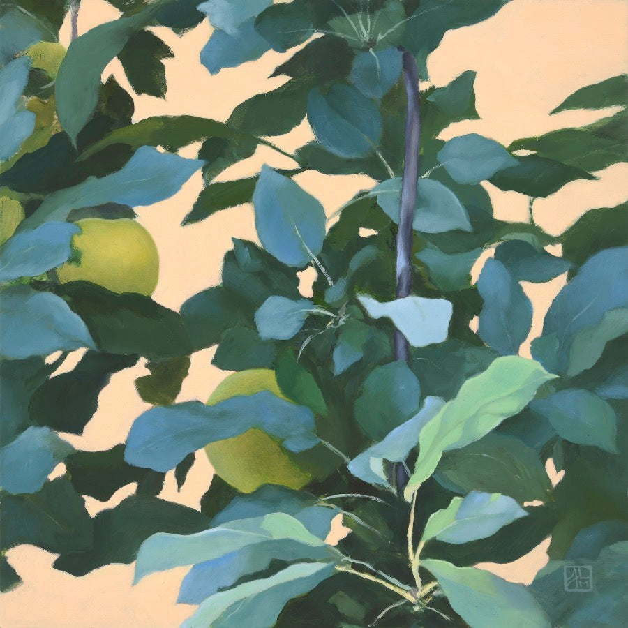 Green apples on a leafy tree branch. The background is peachy gold and the leaves are hues of blue and green. 
