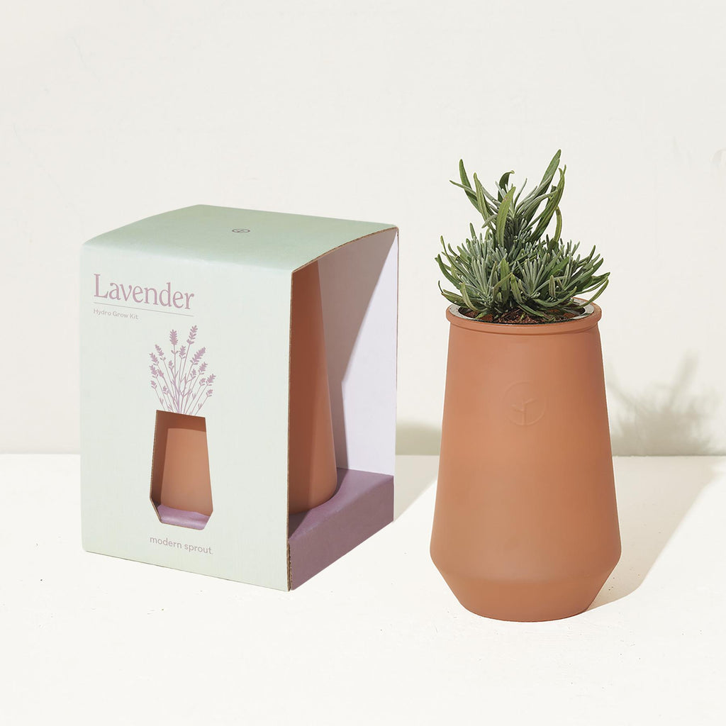 <p><span data-mce-fragment="1">Just add water! This self-watering grow kit features a terracotta colored glass planter outfitted with a passive hydroponic system known as wicking, which brings water and nutrients up to the plant's roots. </span></p> <p><strong>Includes </strong></p> <p><span data-mce-fragment="1">Stainless steel net pot, wick, non-GMO seeds, soilless growing medium, plant food and instructions for success. Non-GMO English Lavender Seeds.</span></p>