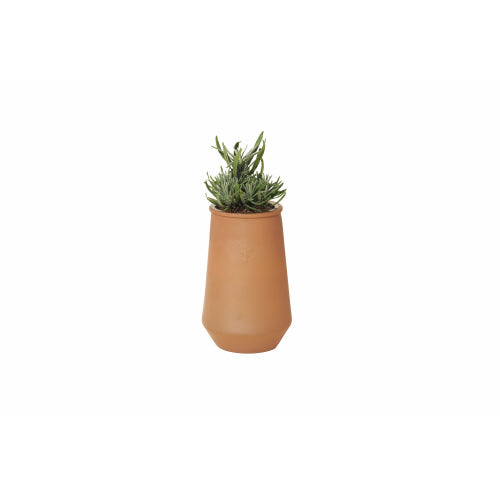 <p><span data-mce-fragment="1">Just add water! This self-watering grow kit features a terracotta colored glass planter outfitted with a passive hydroponic system known as wicking, which brings water and nutrients up to the plant's roots. </span></p> <p><strong>Includes </strong></p> <p><span data-mce-fragment="1">Stainless steel net pot, wick, non-GMO seeds, soilless growing medium, plant food and instructions for success. Non-GMO English Lavender Seeds.</span></p>