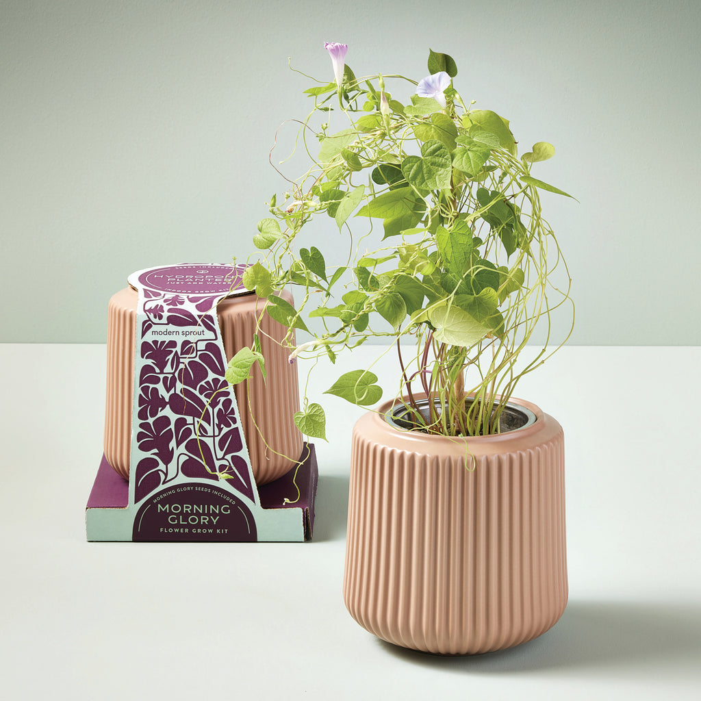 <p aria-level="2" data-mce-fragment="1"><span>Just add water! This fluted ceramic planter includes a complete grow kit with an immersion hydroponics setup that wicks water to flowers as needed. Our hand-selected collection of flower varieties are meant to last in the home, so you can marvel at the beauty of fresh flowers, every day.&nbsp; &nbsp;</span></p> <p aria-level="2" data-mce-fragment="1">&nbsp;</p>
