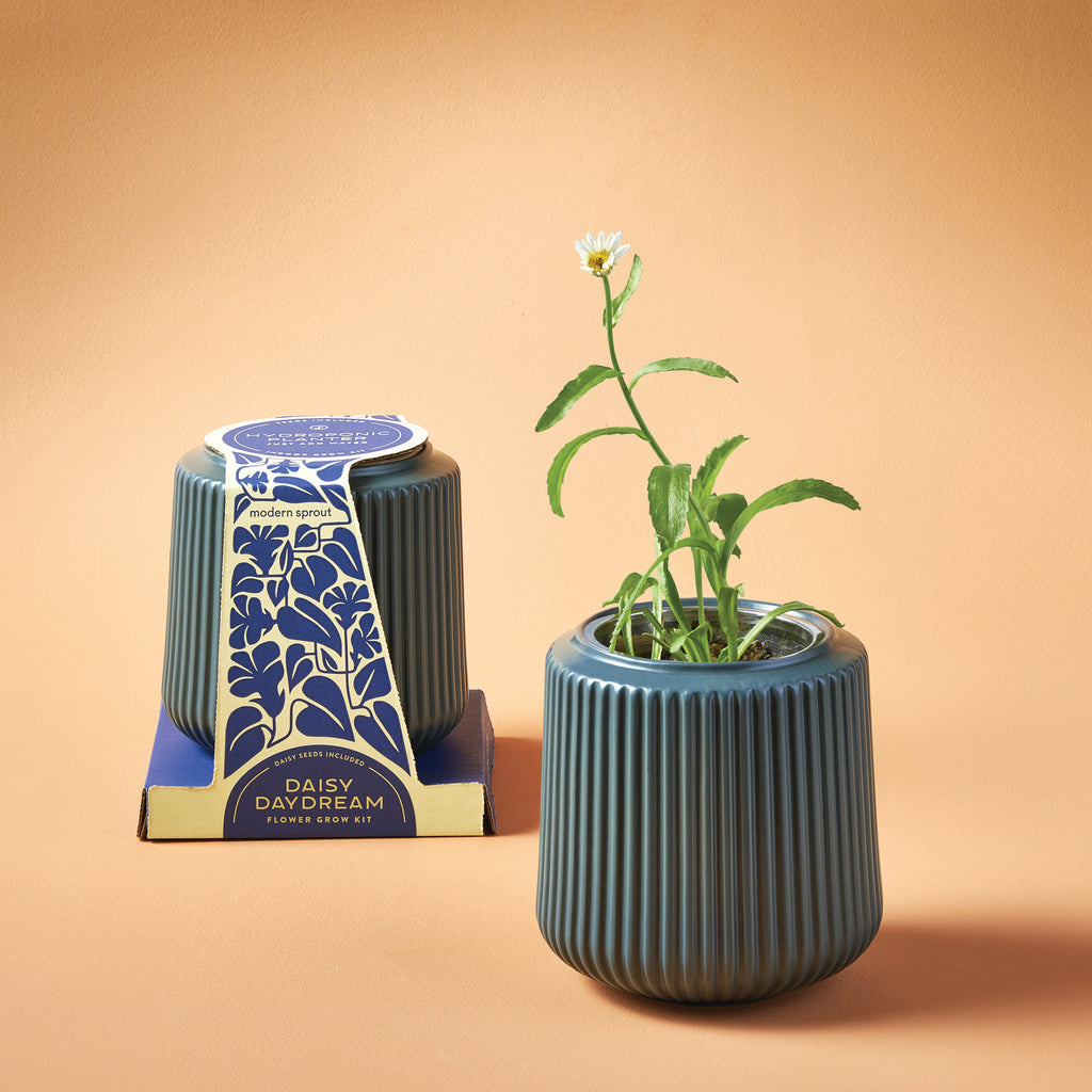 Just add water! This fluted ceramic planter includes a complete grow kit with an immersion hydroponics setup that wicks water to flowers as needed. Our hand-selected collection of flower varieties are meant to last in the home, so you can marvel at the beauty of fresh flowers, every day.&nbsp;&nbsp;