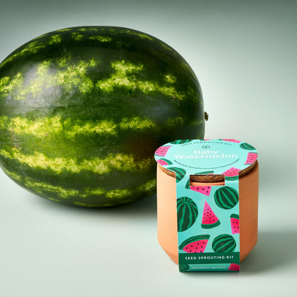 Meet the newest garden fresh edition of one of our best-selling kits! Features Organic Watermelon seed, a terracotta planter with a water-tight glazed interior and a nested coconut husk liner that provides drainage. As the plant matures, the liner can be transplanted into a larger pot or garden.