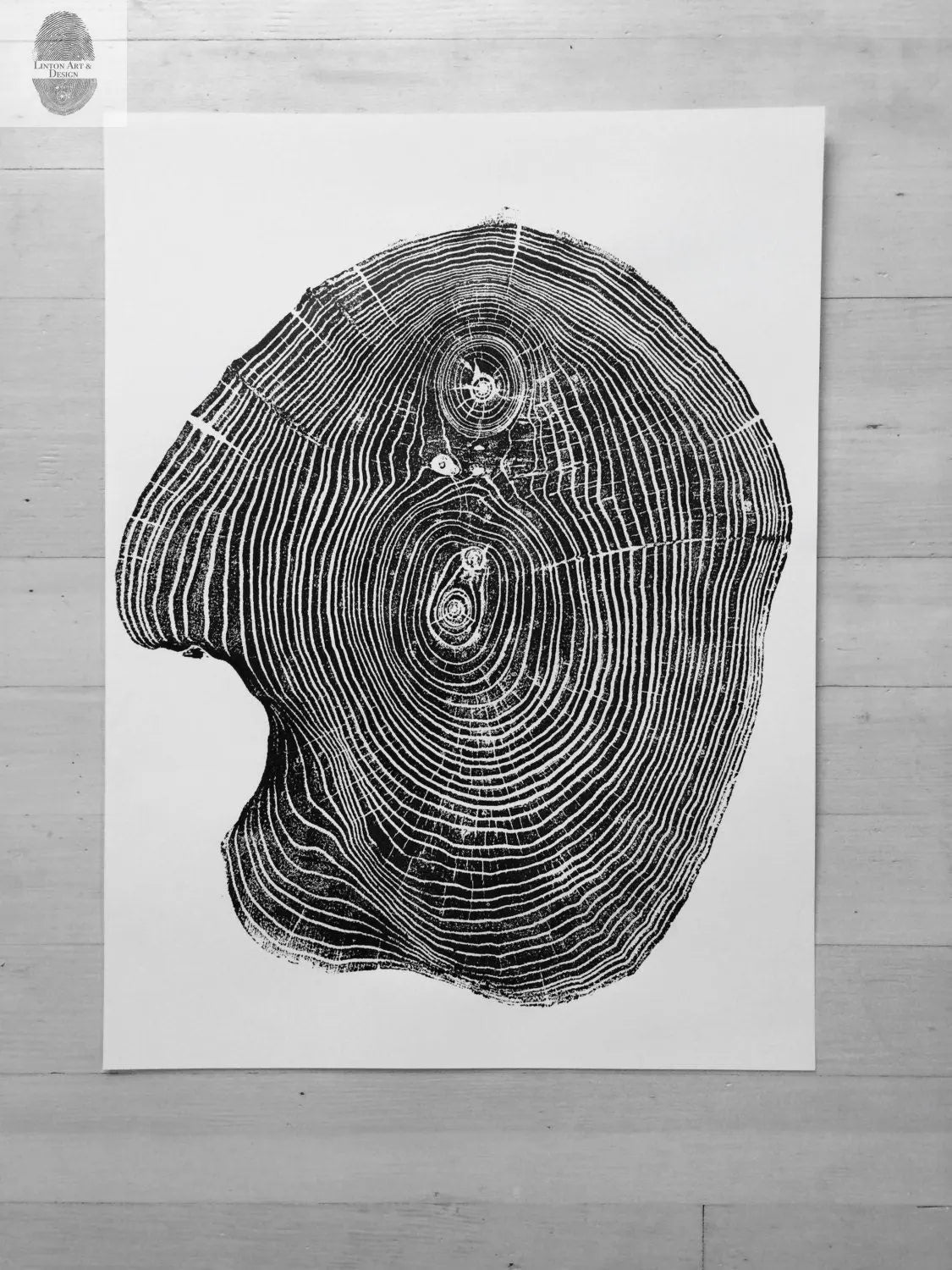 Mulberry Tree Print - 18x24 Tree Ring Art - Signed Original