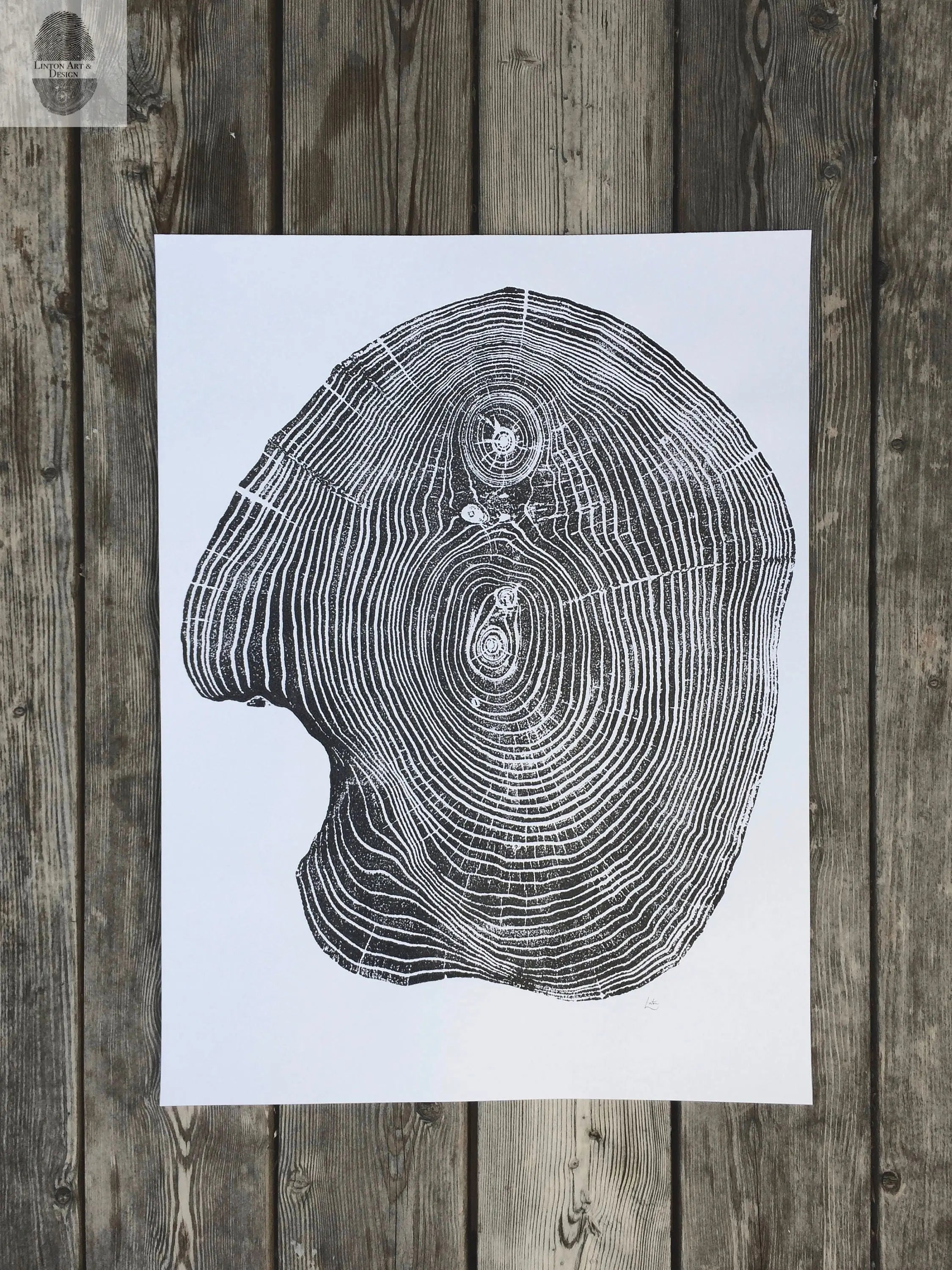 Mulberry Tree Print - 18x24 Tree Ring Art - Signed Original