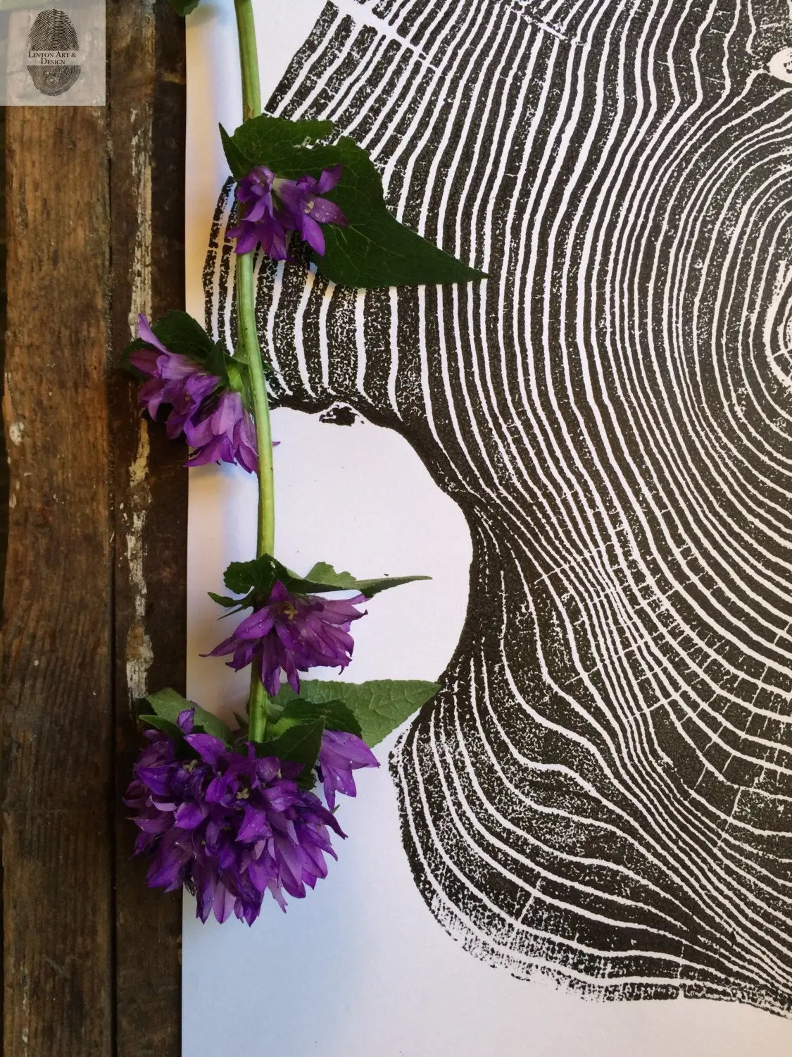 Mulberry Tree Print - 18x24 Tree Ring Art - Signed Original