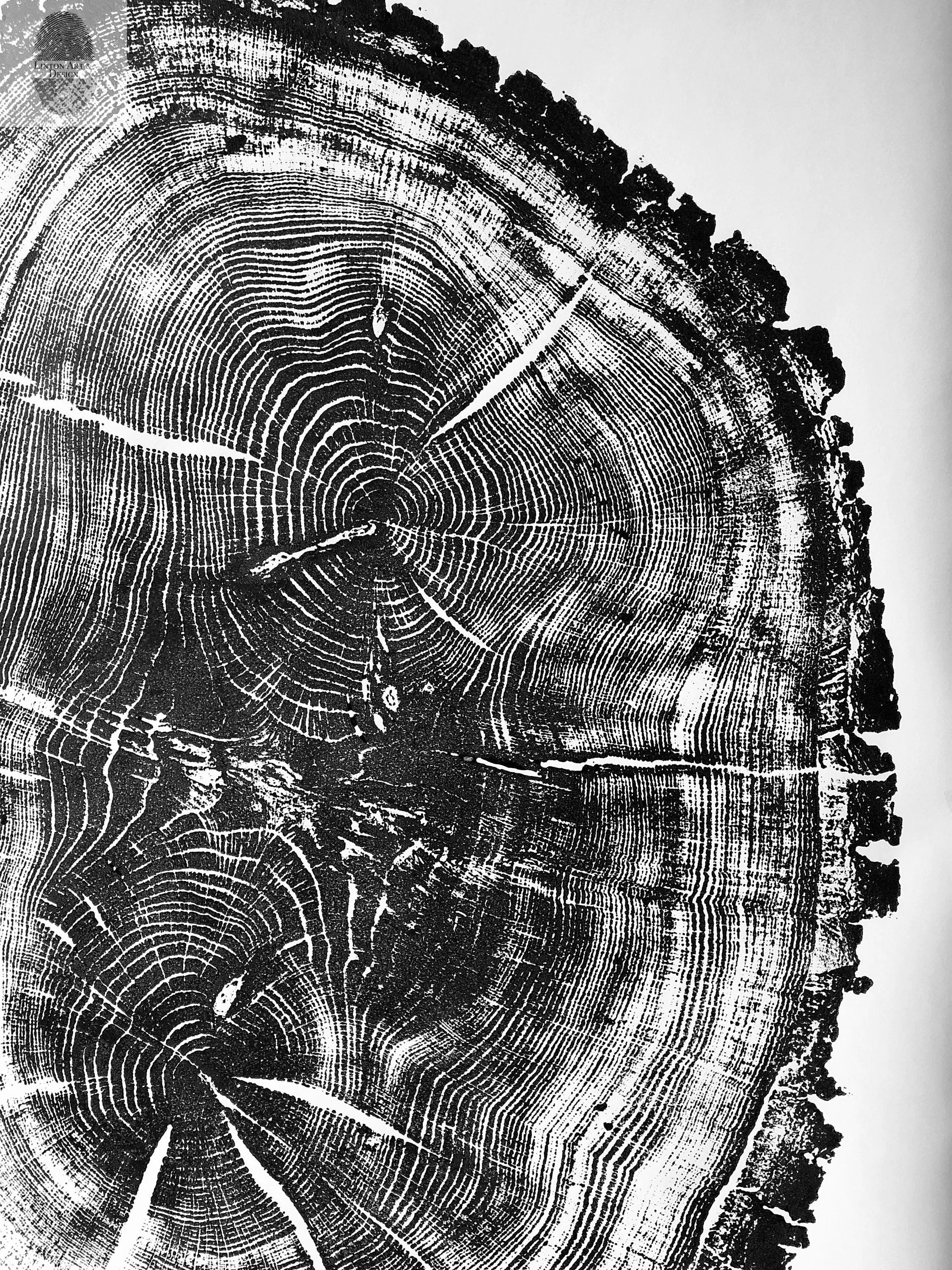 Nauvoo, Illinois Oak - 24x36 Print